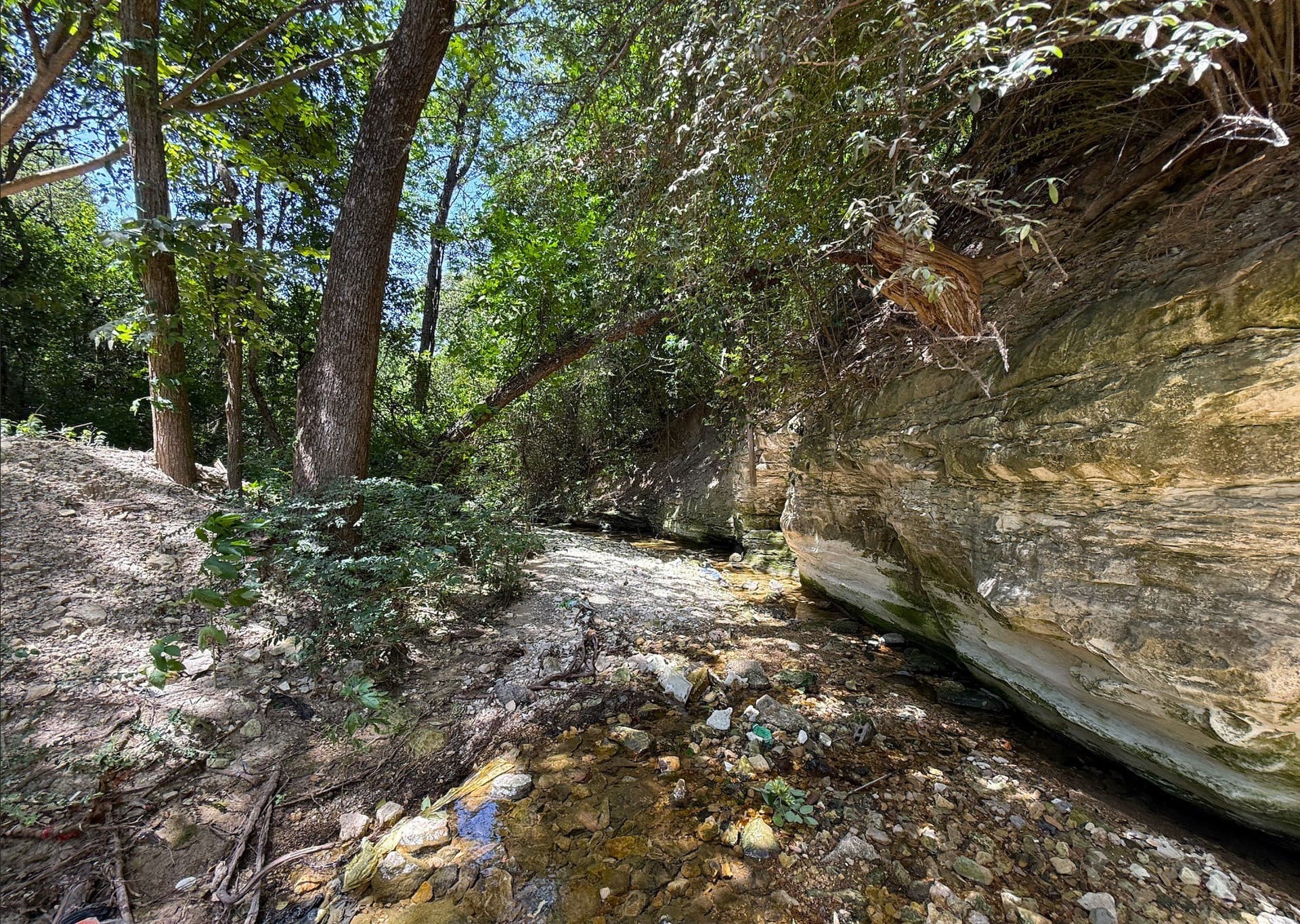 1.29 acres in Dallas County - photo 16