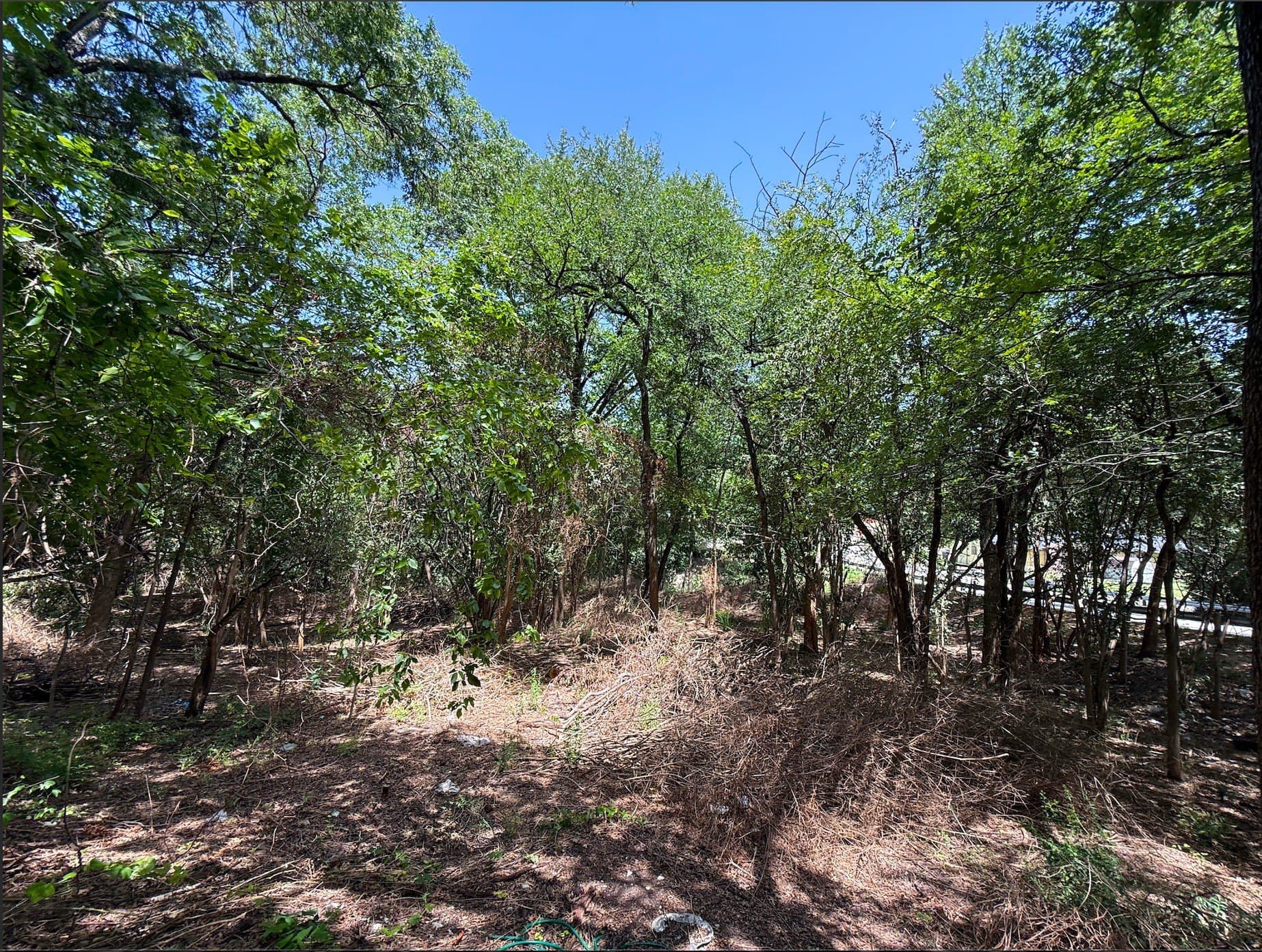 1.29 acres in Dallas County - photo 17