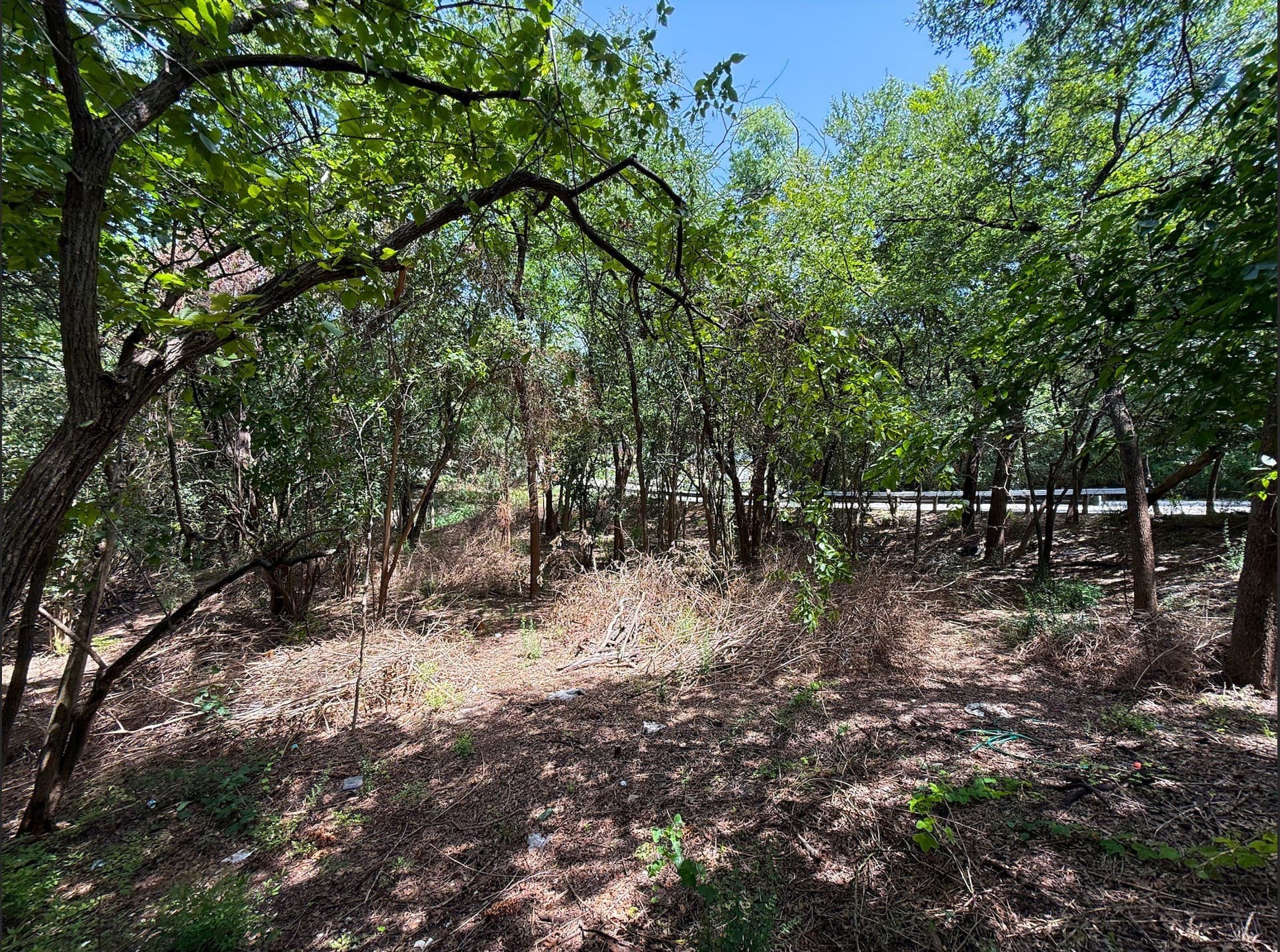 1.29 acres in Dallas County - photo 15