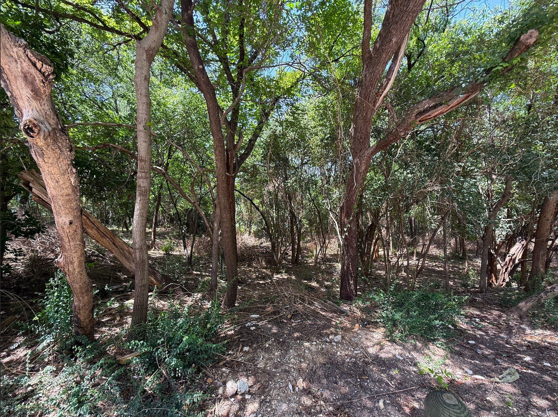 1.29 acres in Dallas County - photo 18