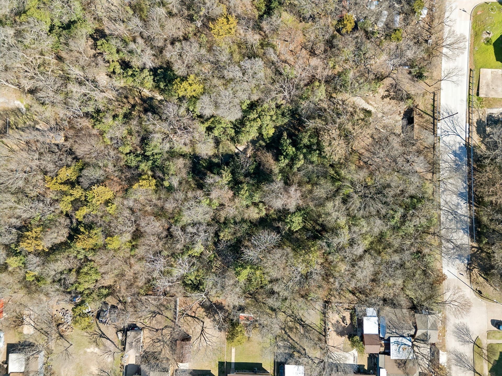 1.29 acres in Dallas County - photo 8