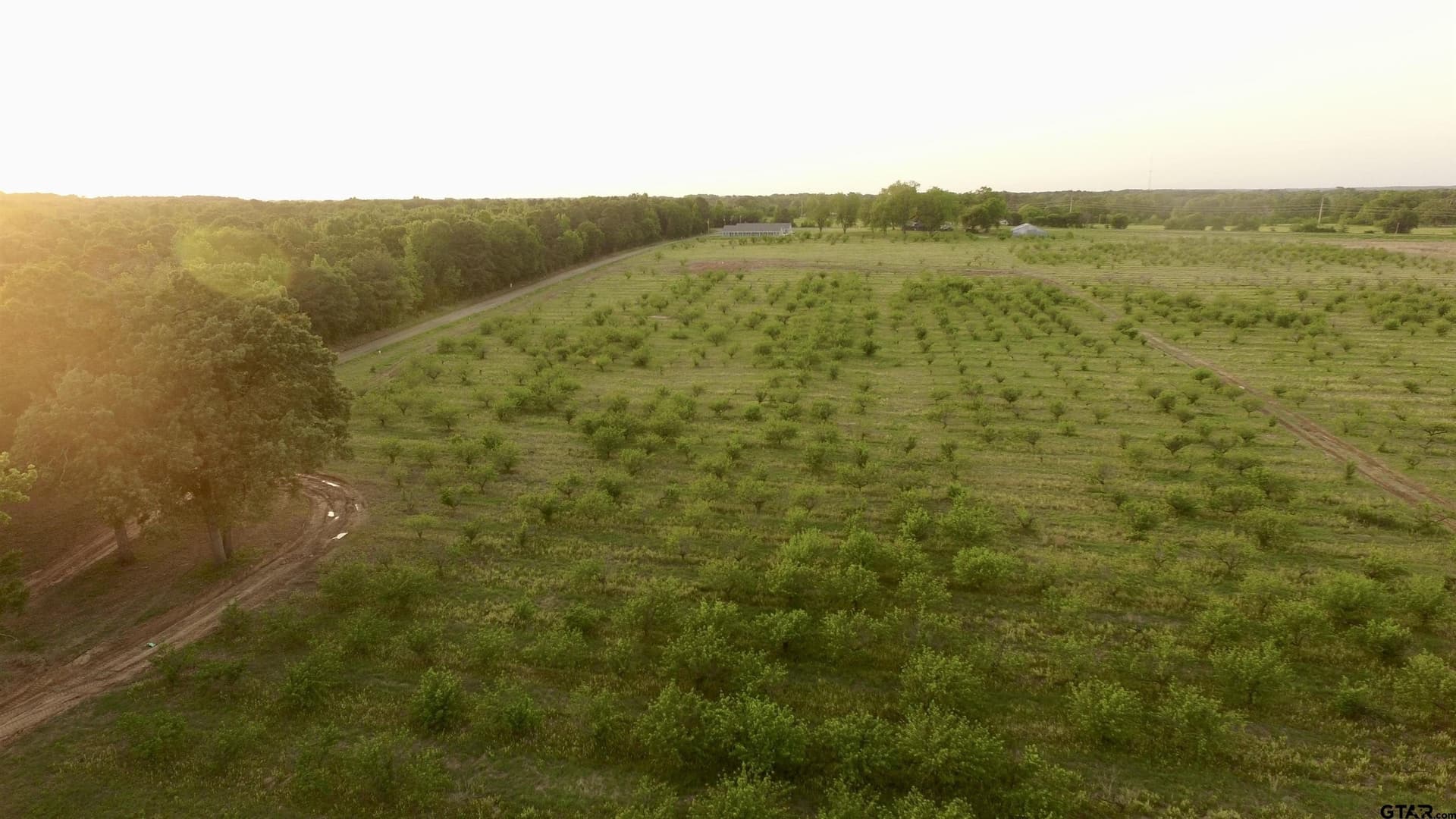 0.8 acres in Camp County gallery image 3