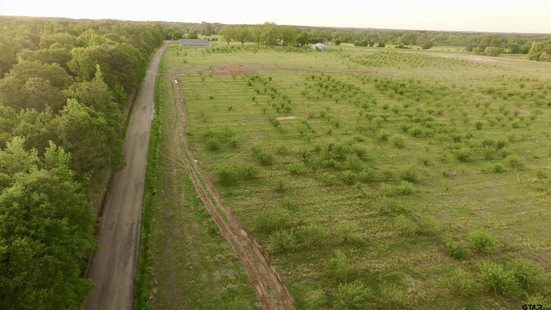 0.8 acres in Camp County