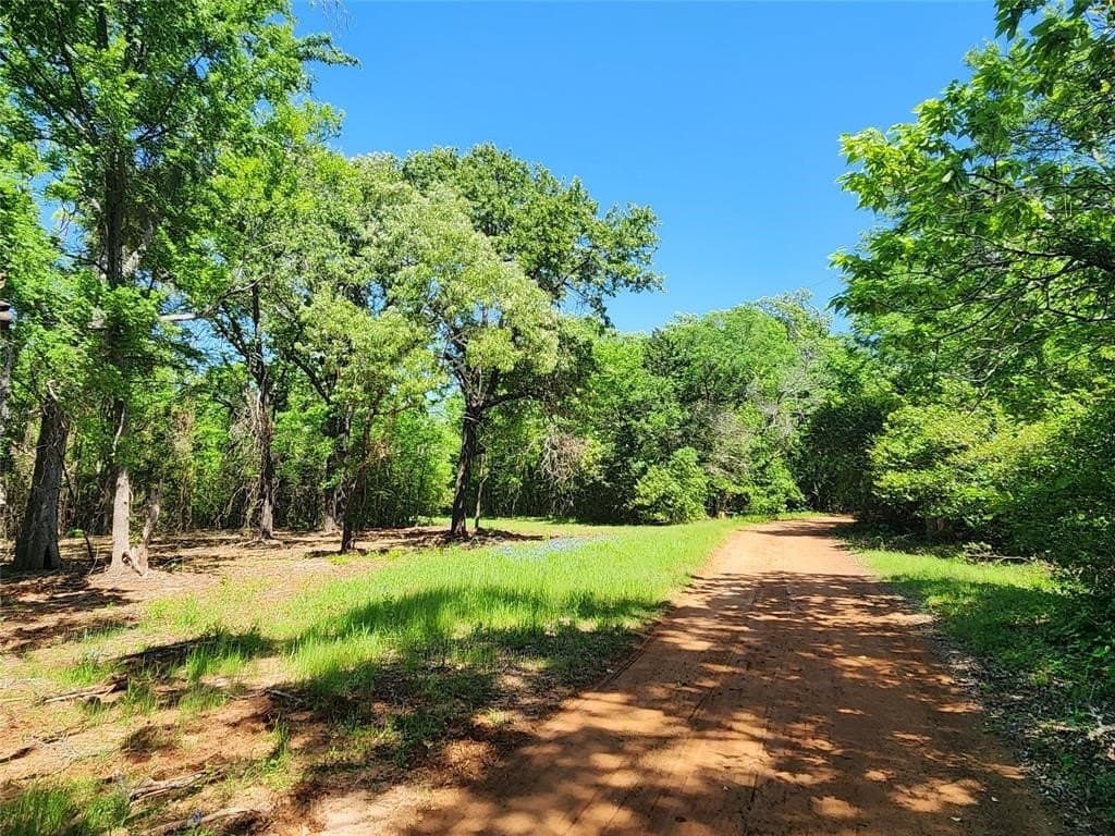 22.78 acres in Smith County gallery image 3