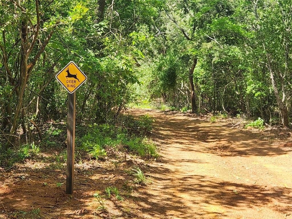 22.78 acres in Smith County gallery image 4