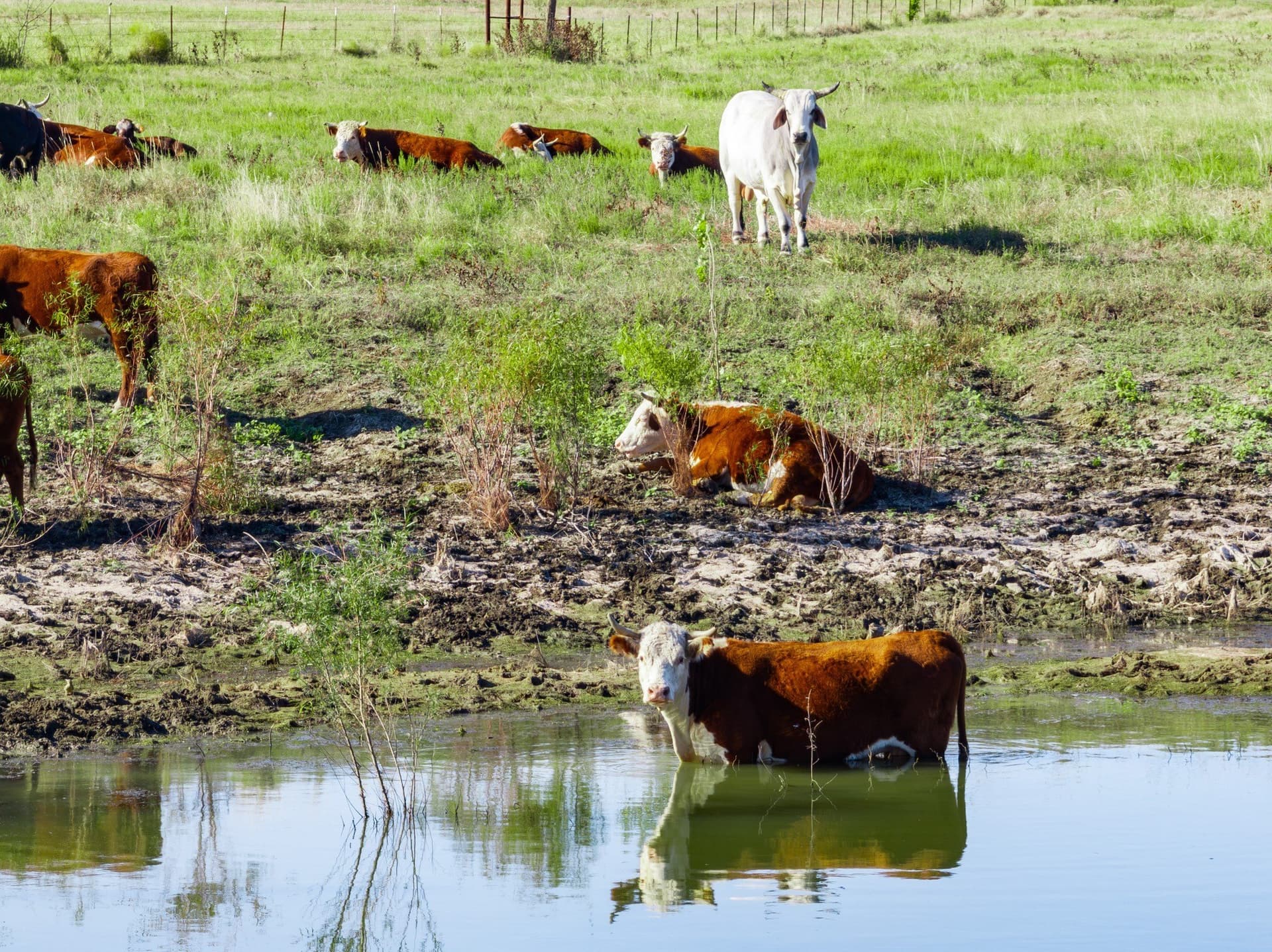 48.52 acres in McLennan County - photo 35