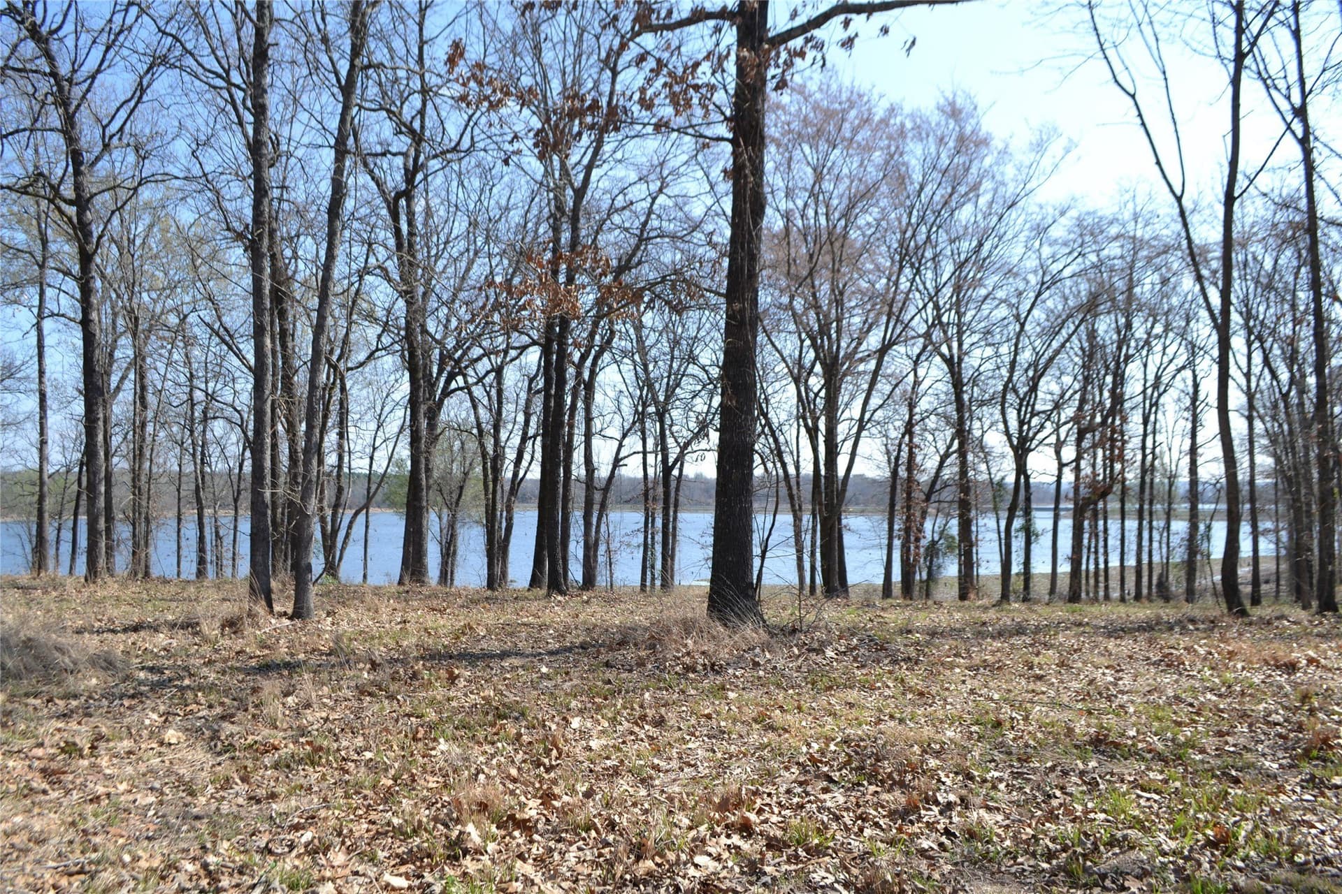 1.01 acres in Wood County - photo 7