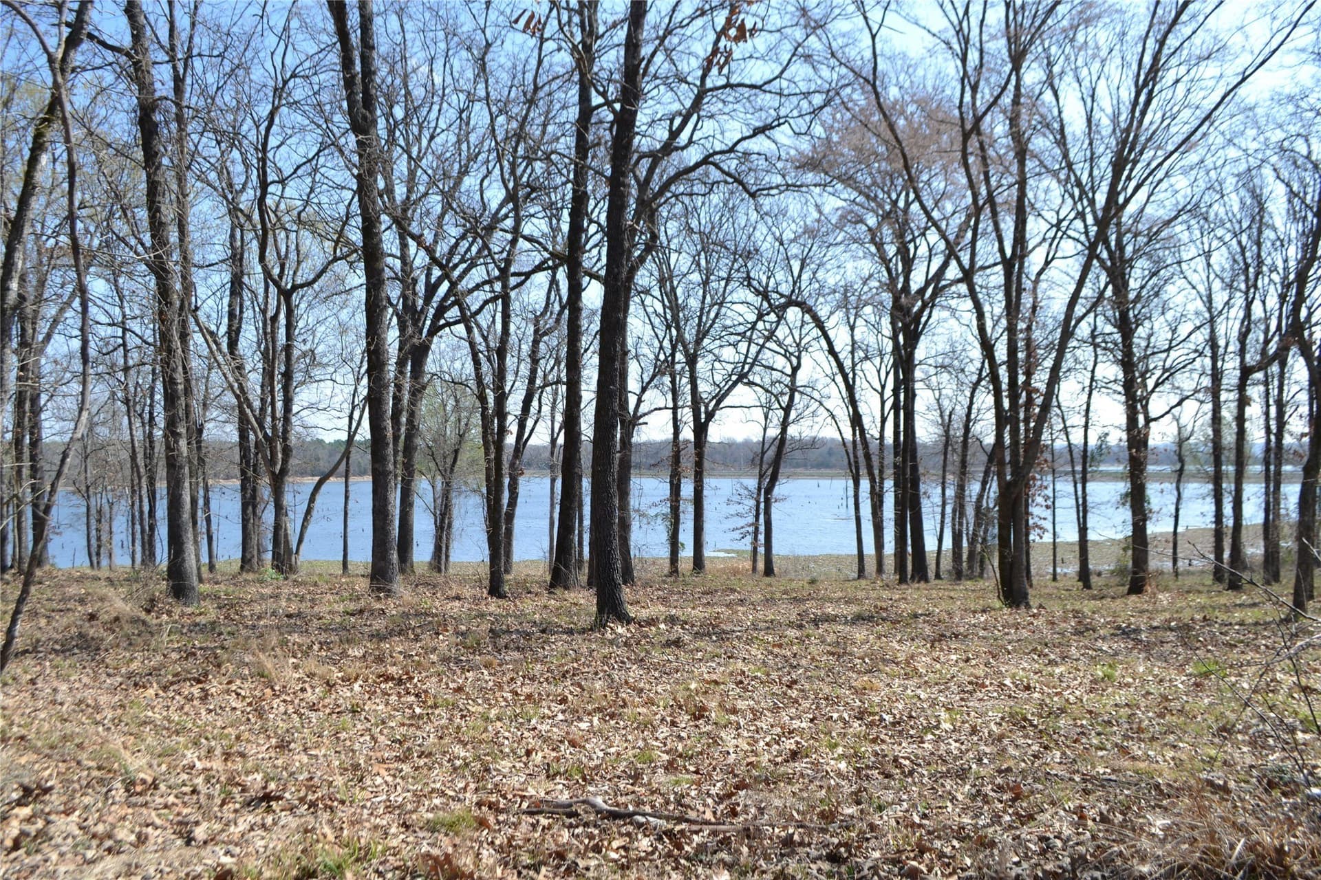 1.01 acres in Wood County - photo 3