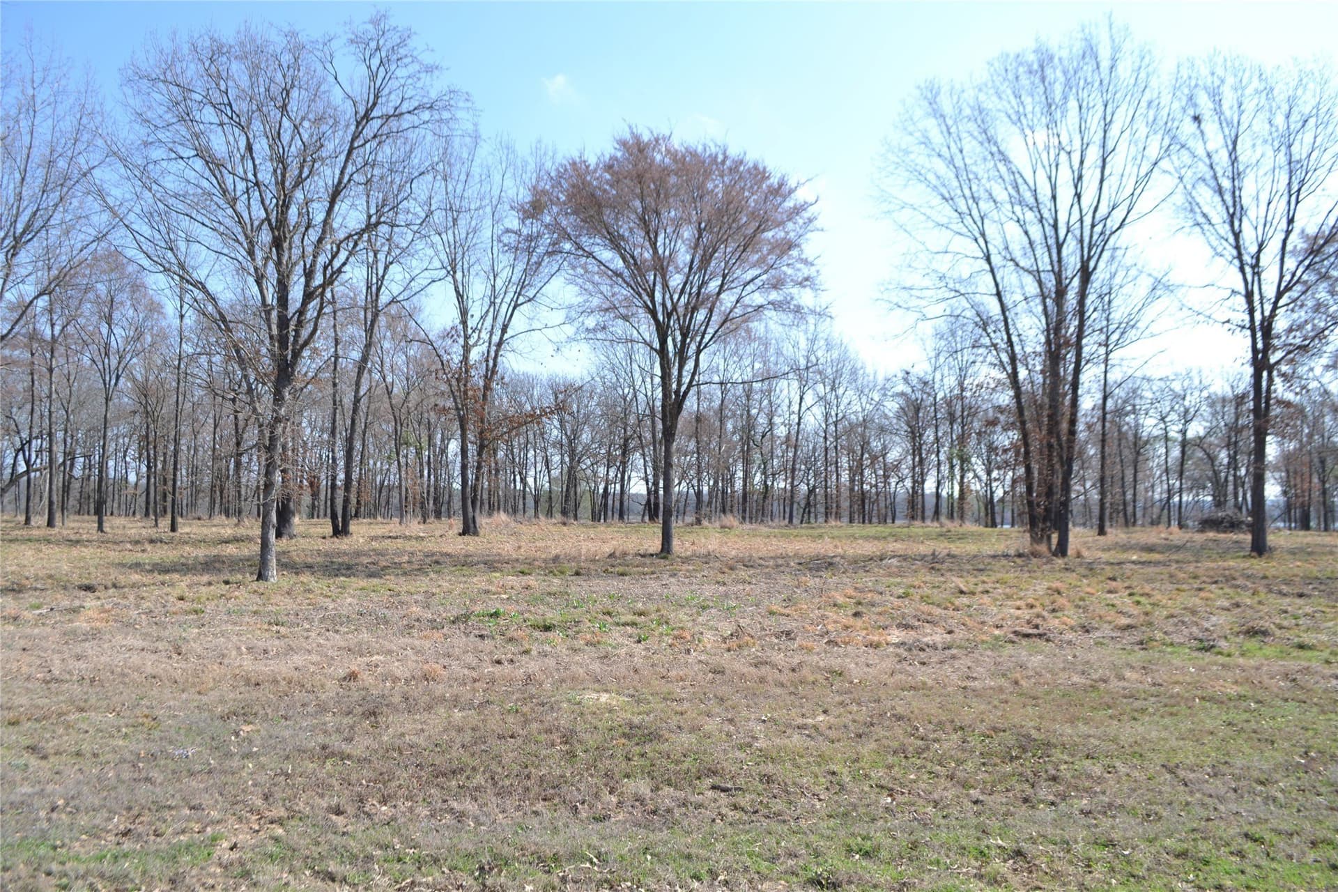 1.01 acres in Wood County - photo 4