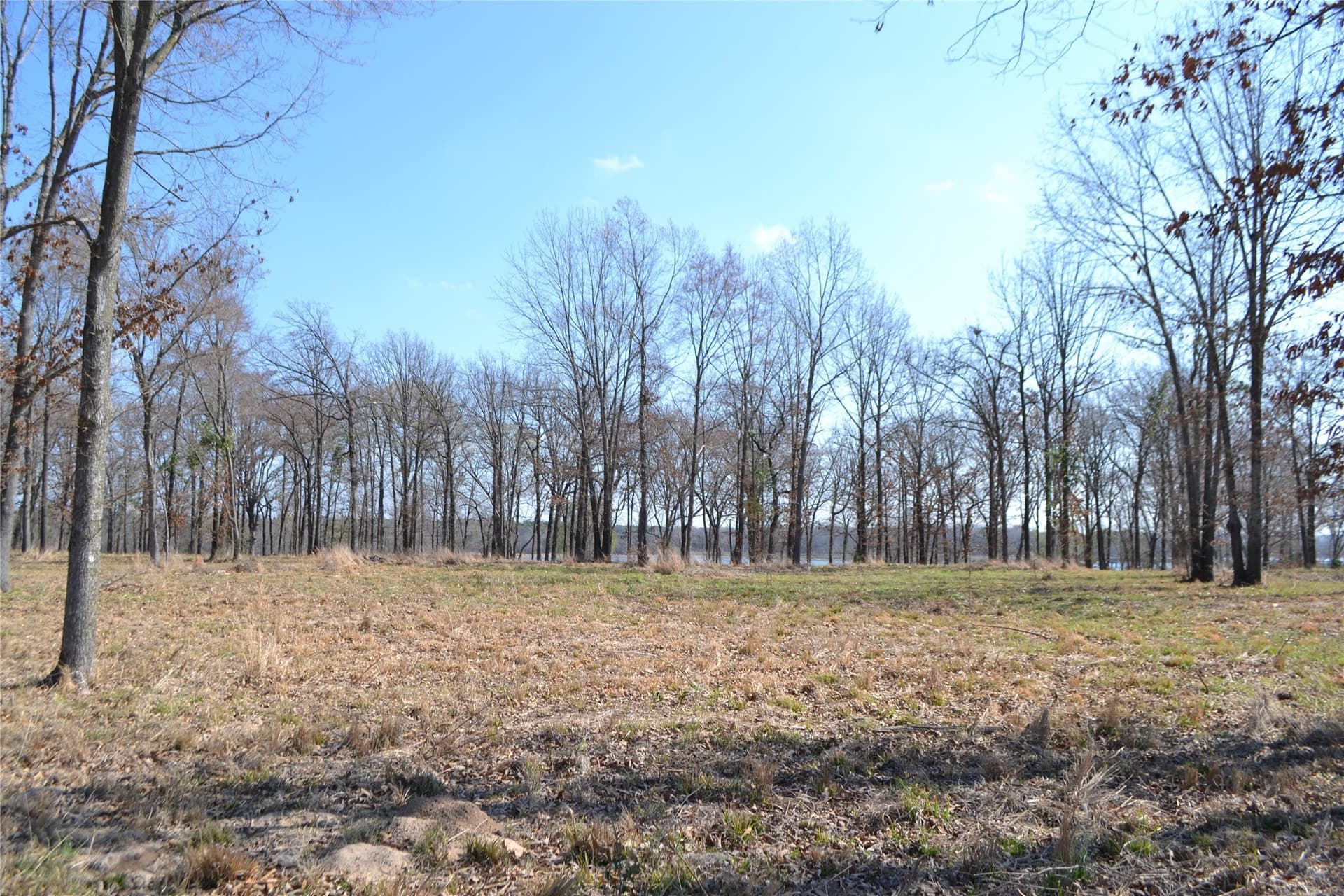 1.01 acres in Wood County - photo 5