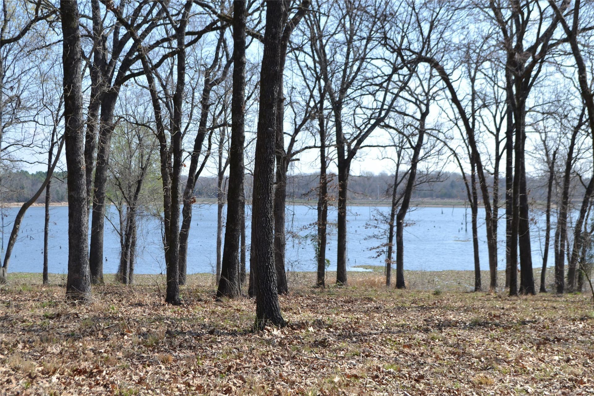 1.01 acres in Wood County