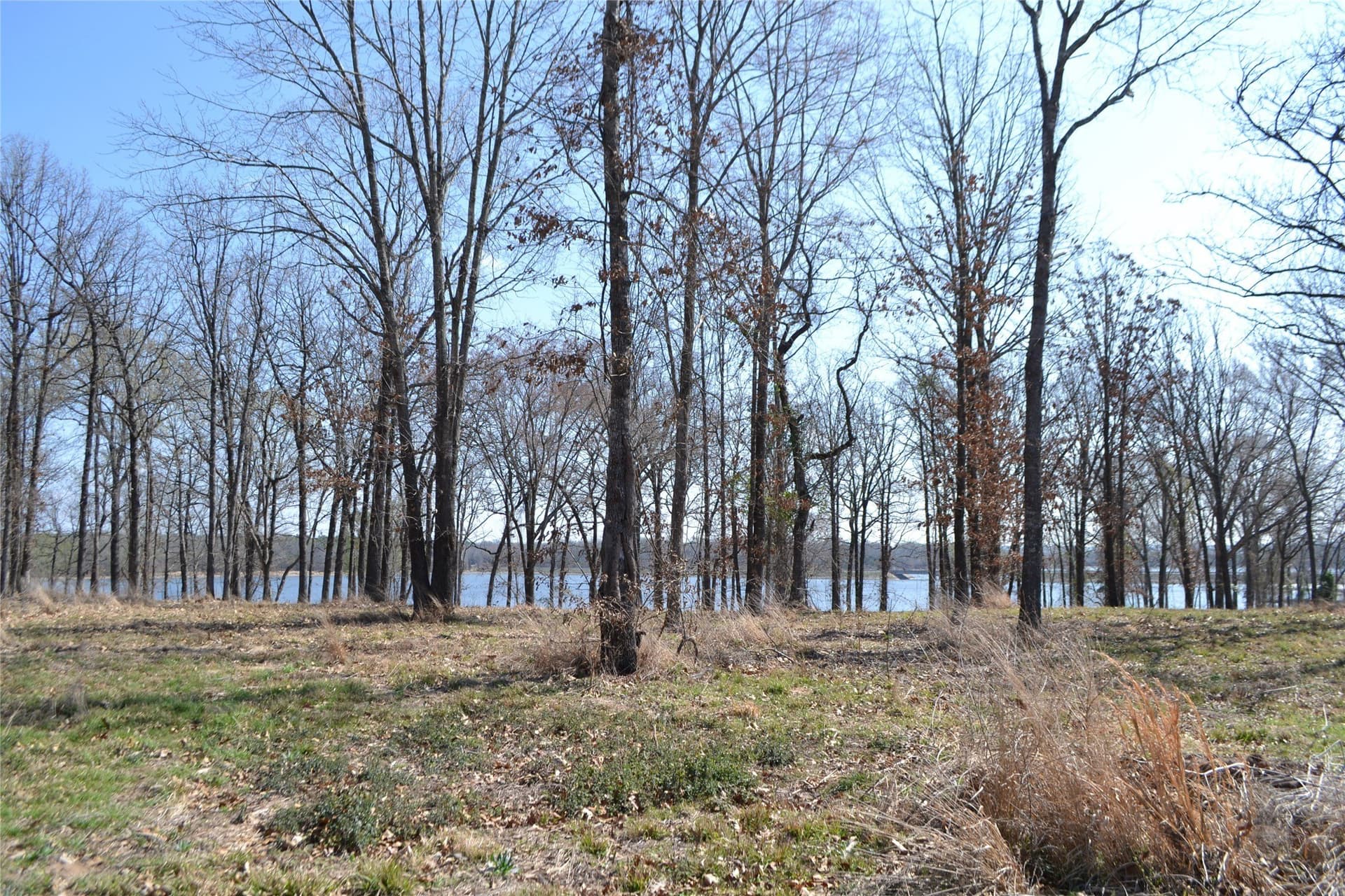 1.01 acres in Wood County - photo 6