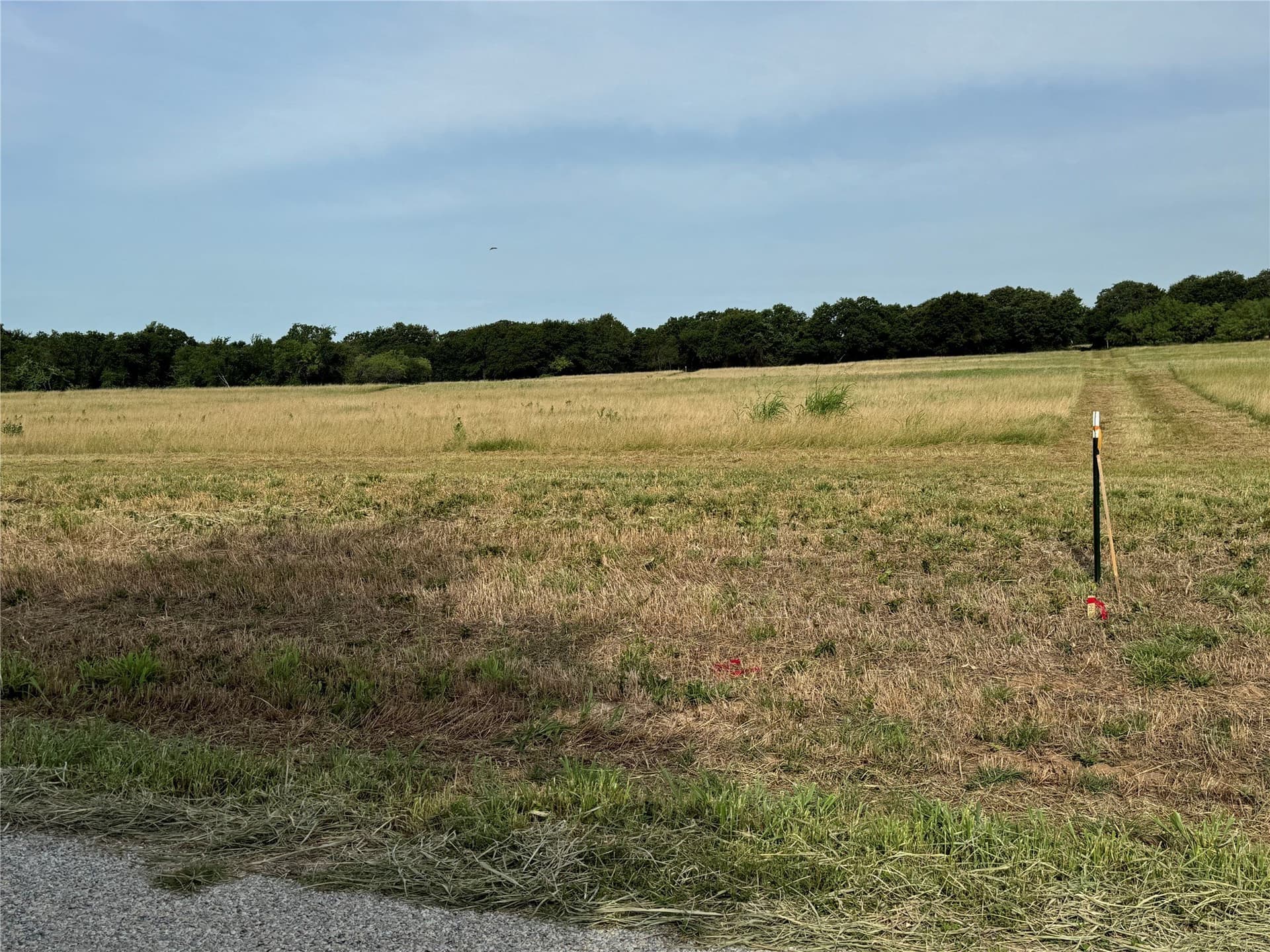 2.53 acres in Wise County gallery image 2