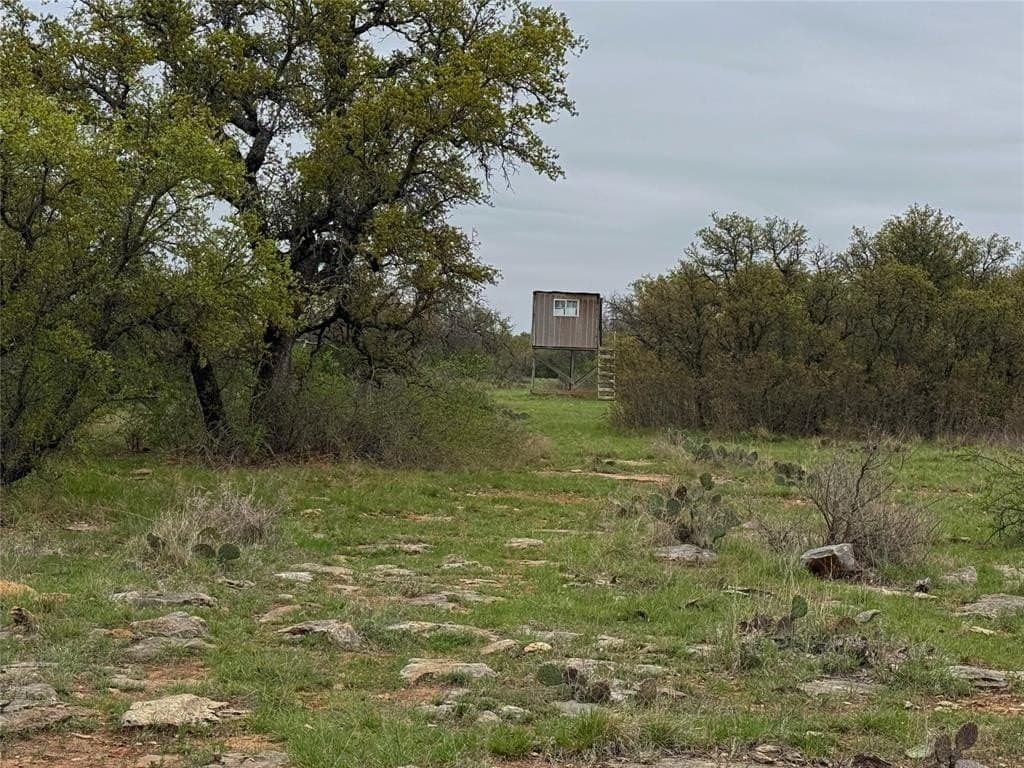121.2 acres in Eastland County featured view