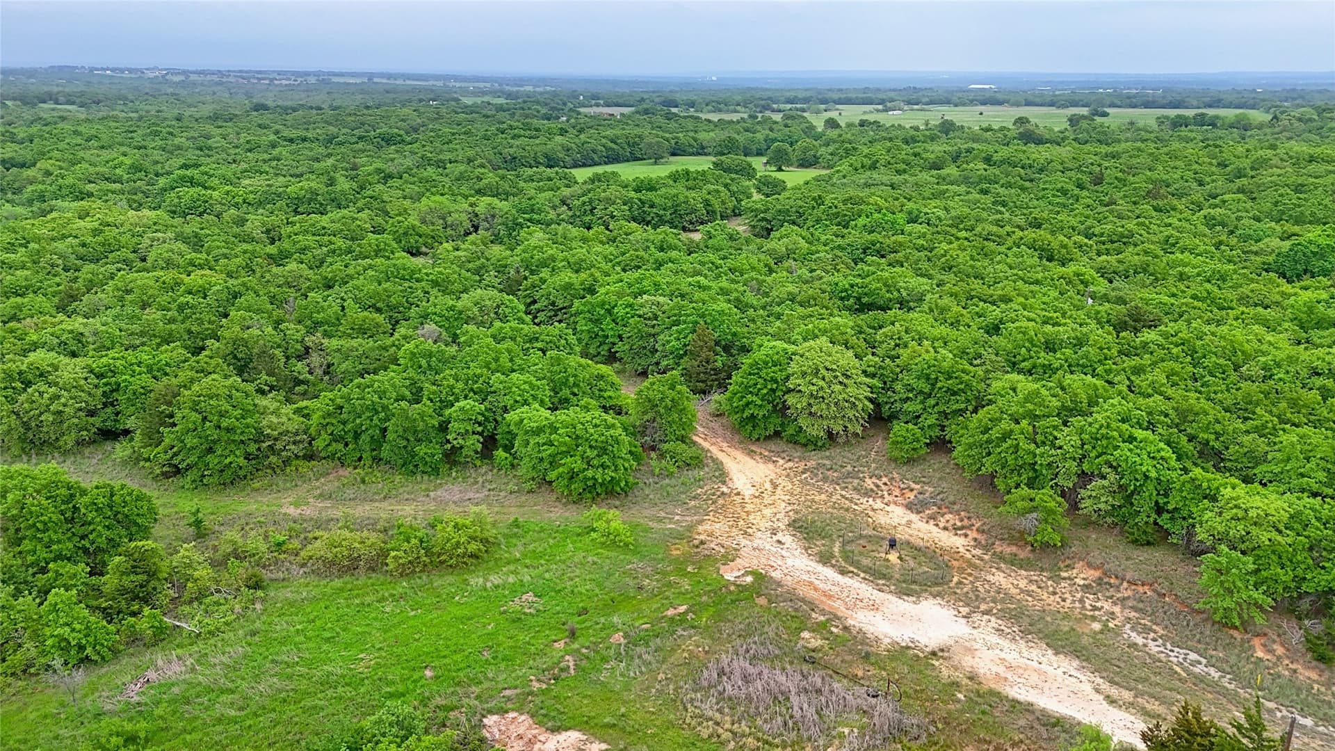 110.15 acres in Montague County - photo 13
