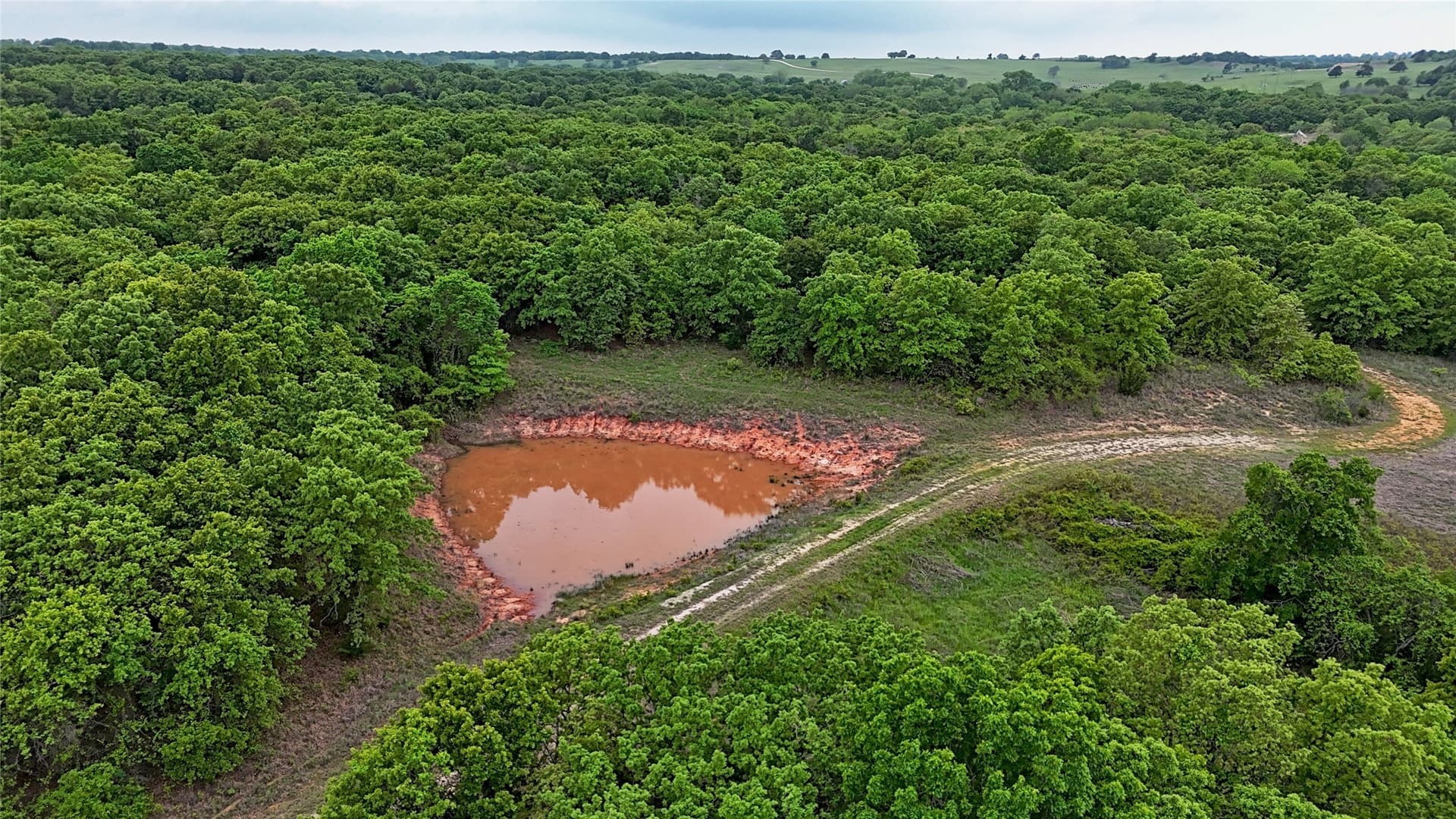 110.15 acres in Montague County gallery image 4