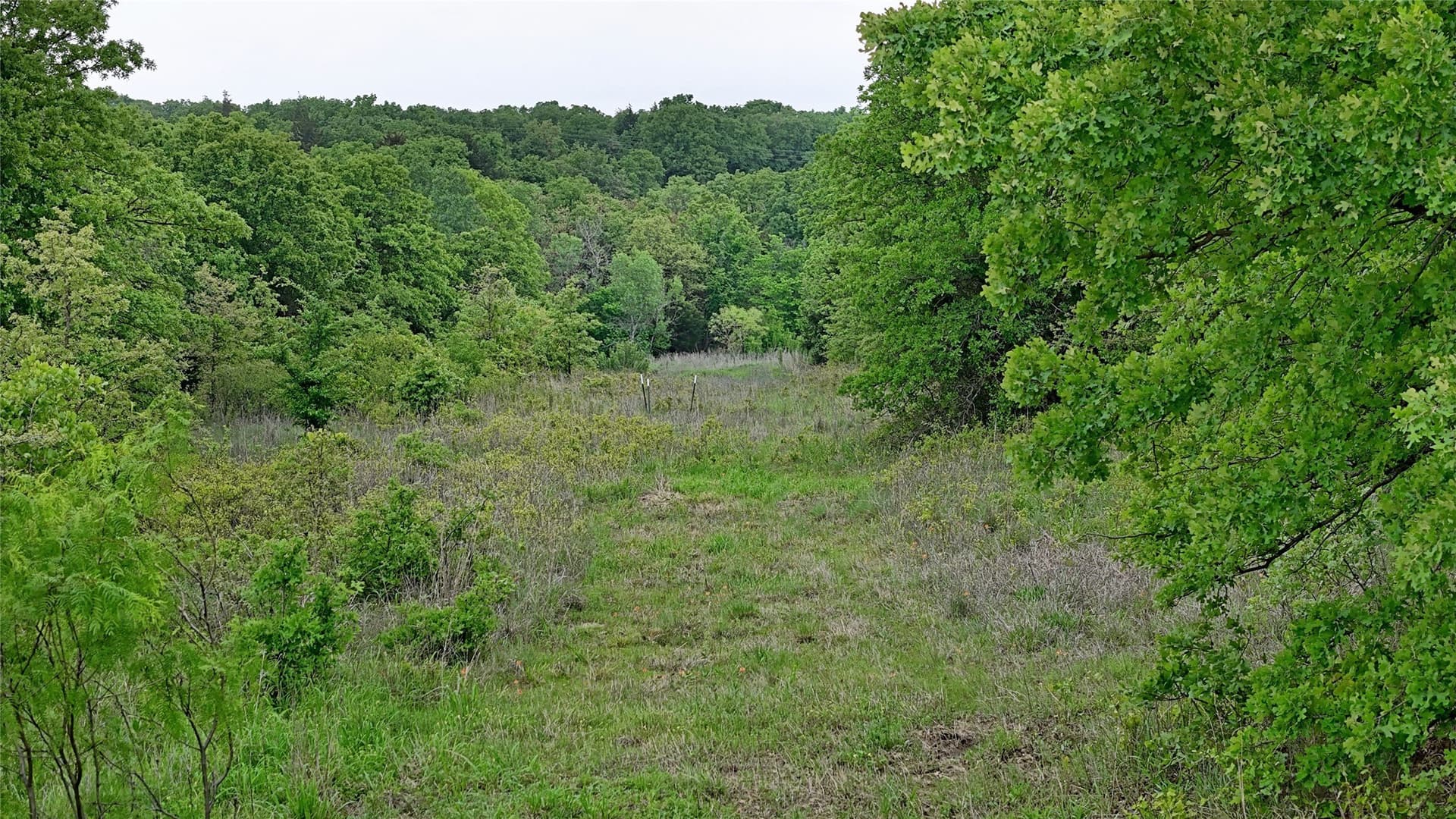 110.15 acres in Montague County - photo 8