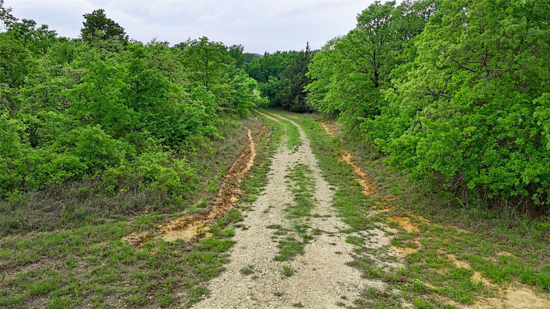 110.15 acres in Montague County - photo 15
