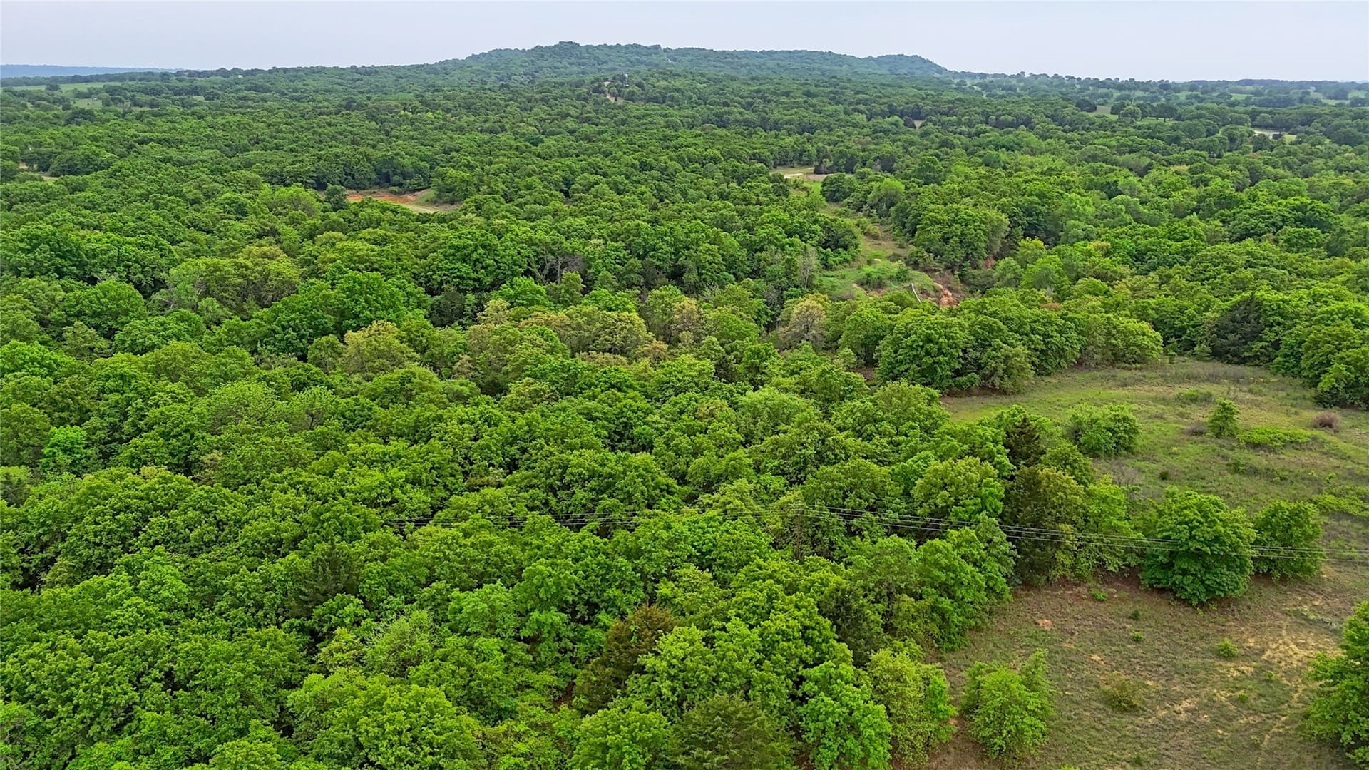 110.15 acres in Montague County gallery image 2
