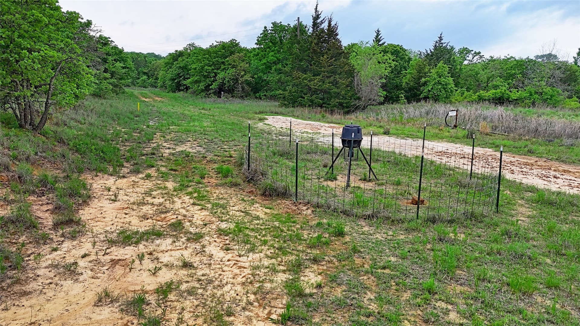110.15 acres in Montague County - photo 16