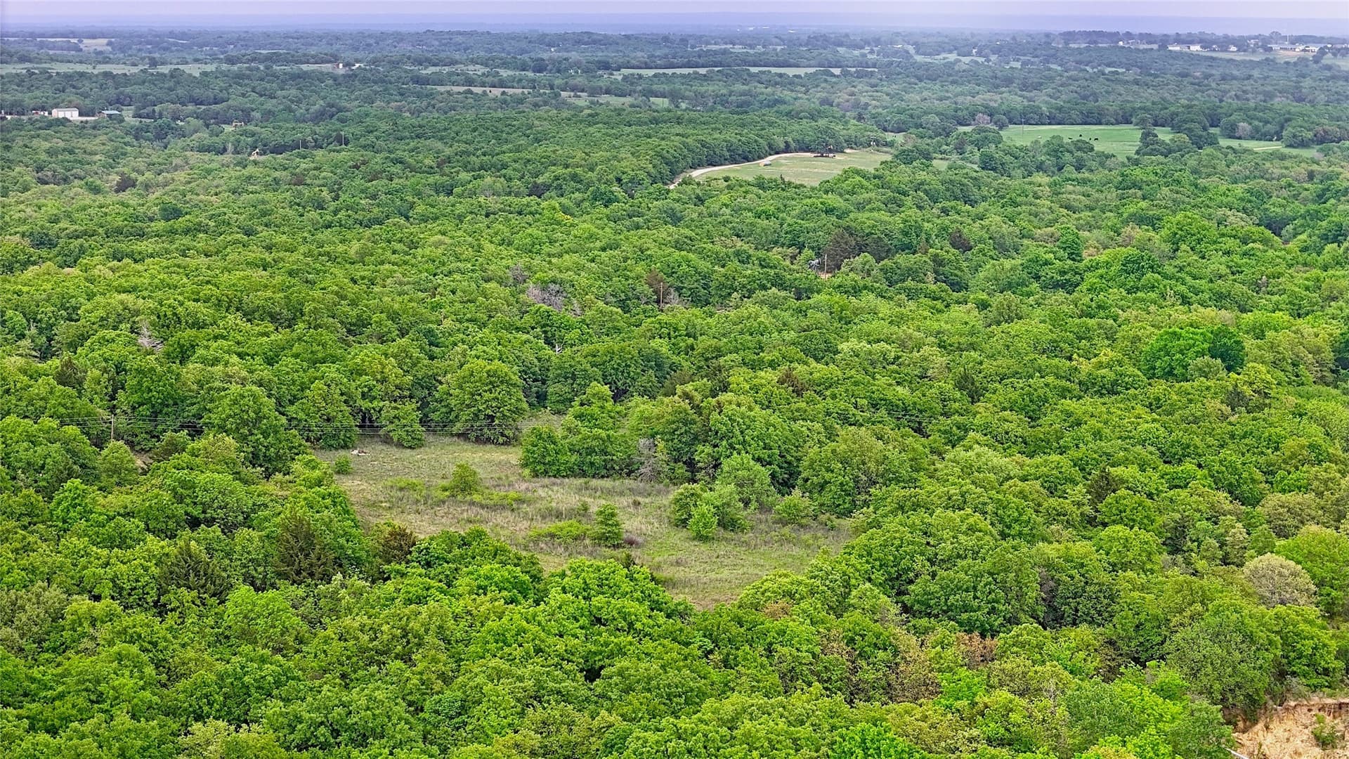110.15 acres in Montague County gallery image 3
