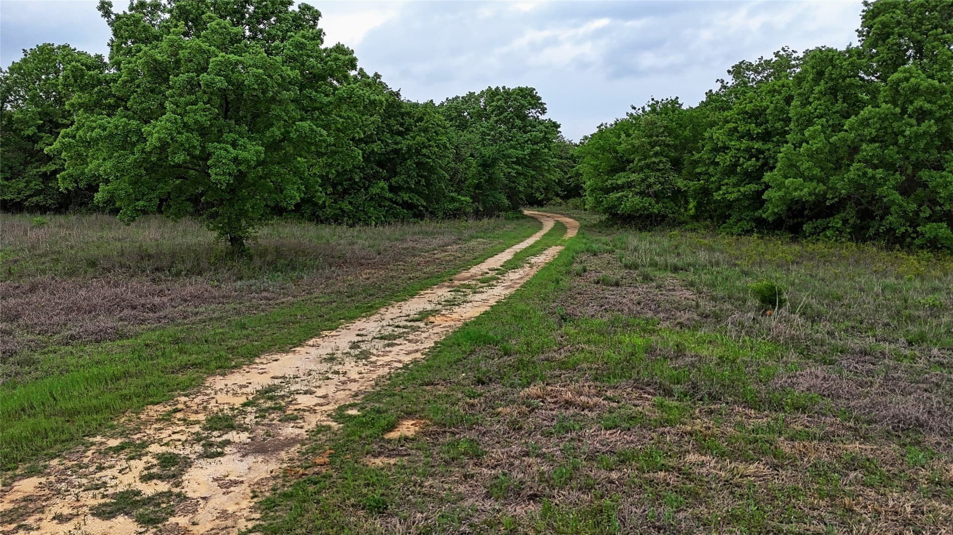 110.15 acres in Montague County - photo 20