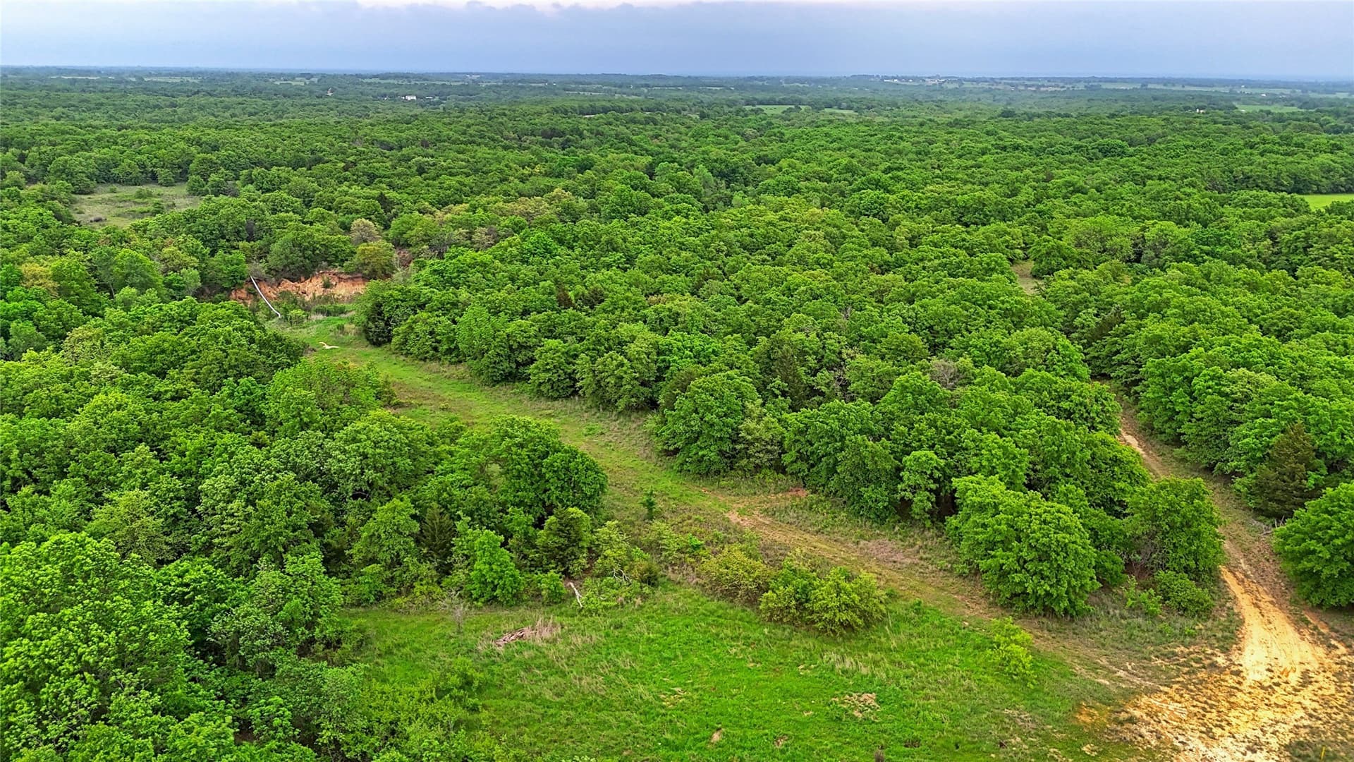 110.15 acres in Montague County - photo 14