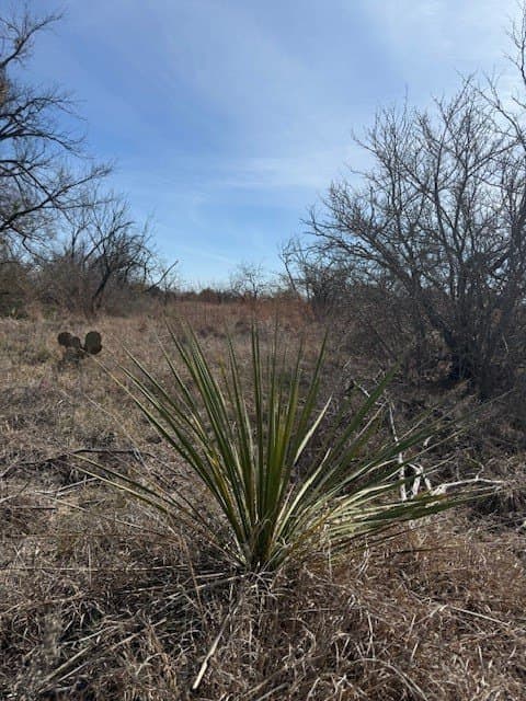5.37 acres in Brown County - photo 14