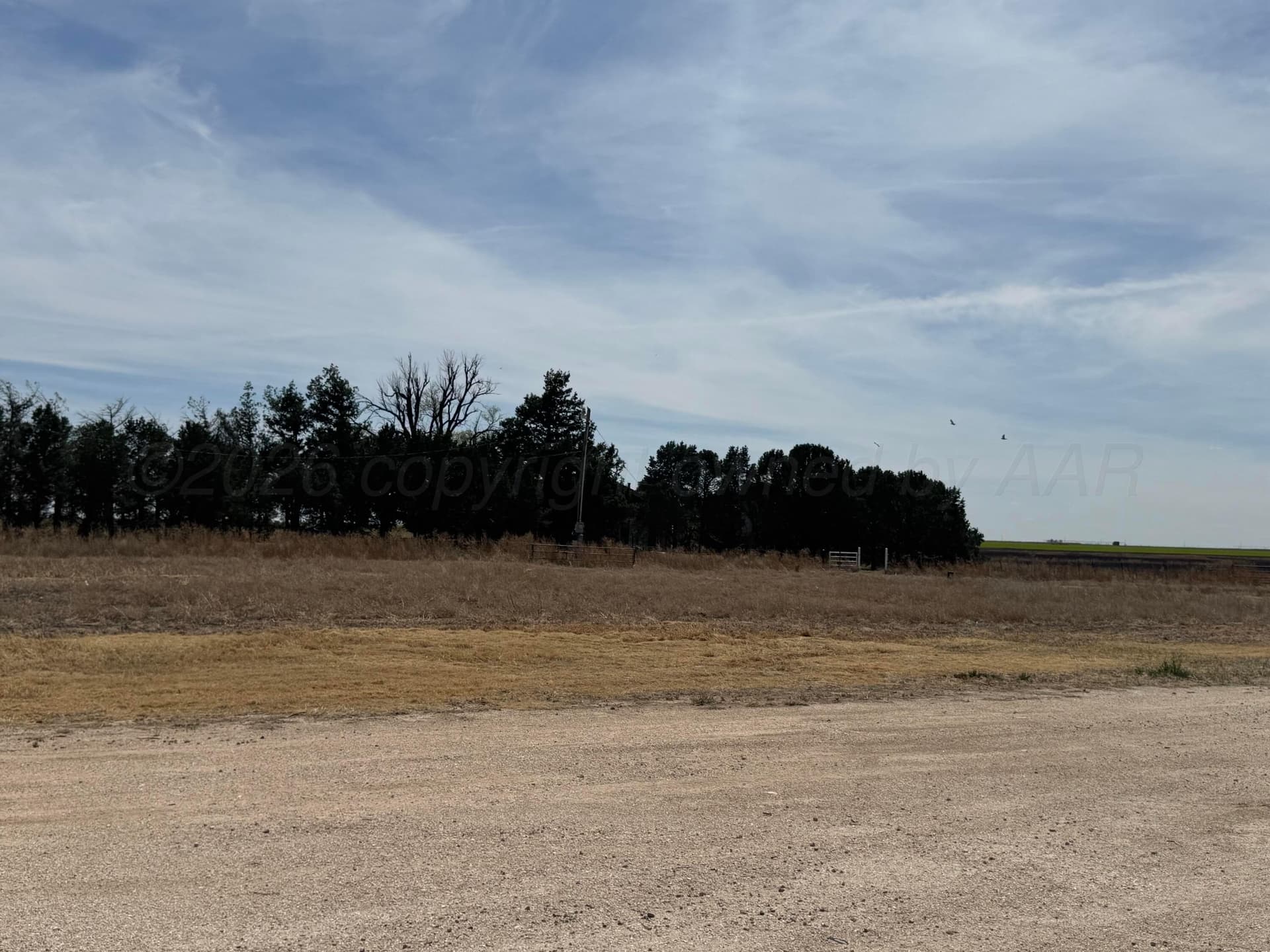 98 acres in Texas County gallery image 3