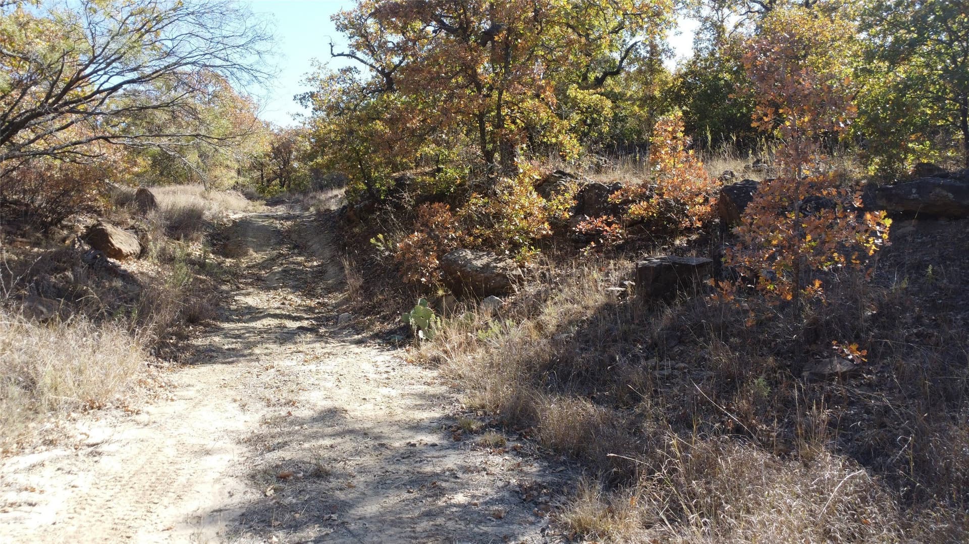 153 acres in Young County - photo 27