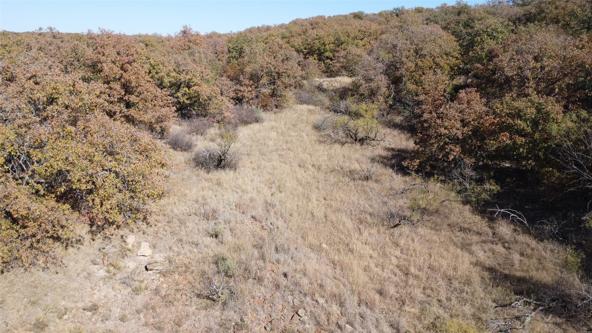 153 acres in Young County - photo 33