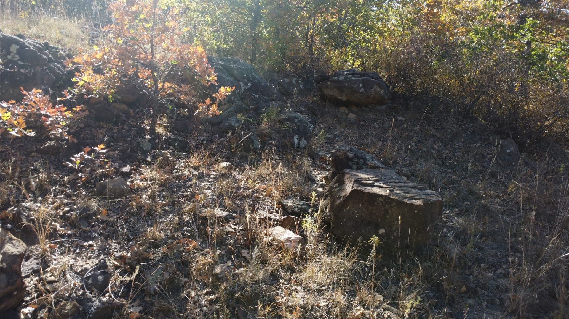153 acres in Young County - photo 28