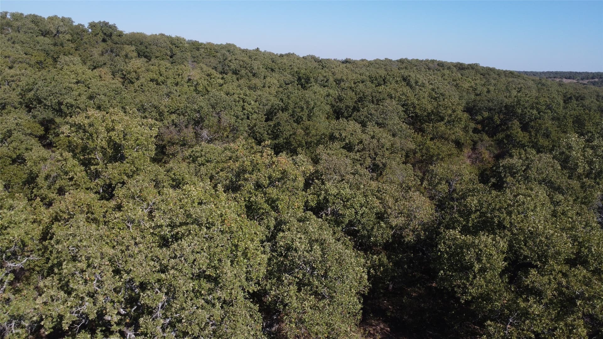 153 acres in Young County - photo 21