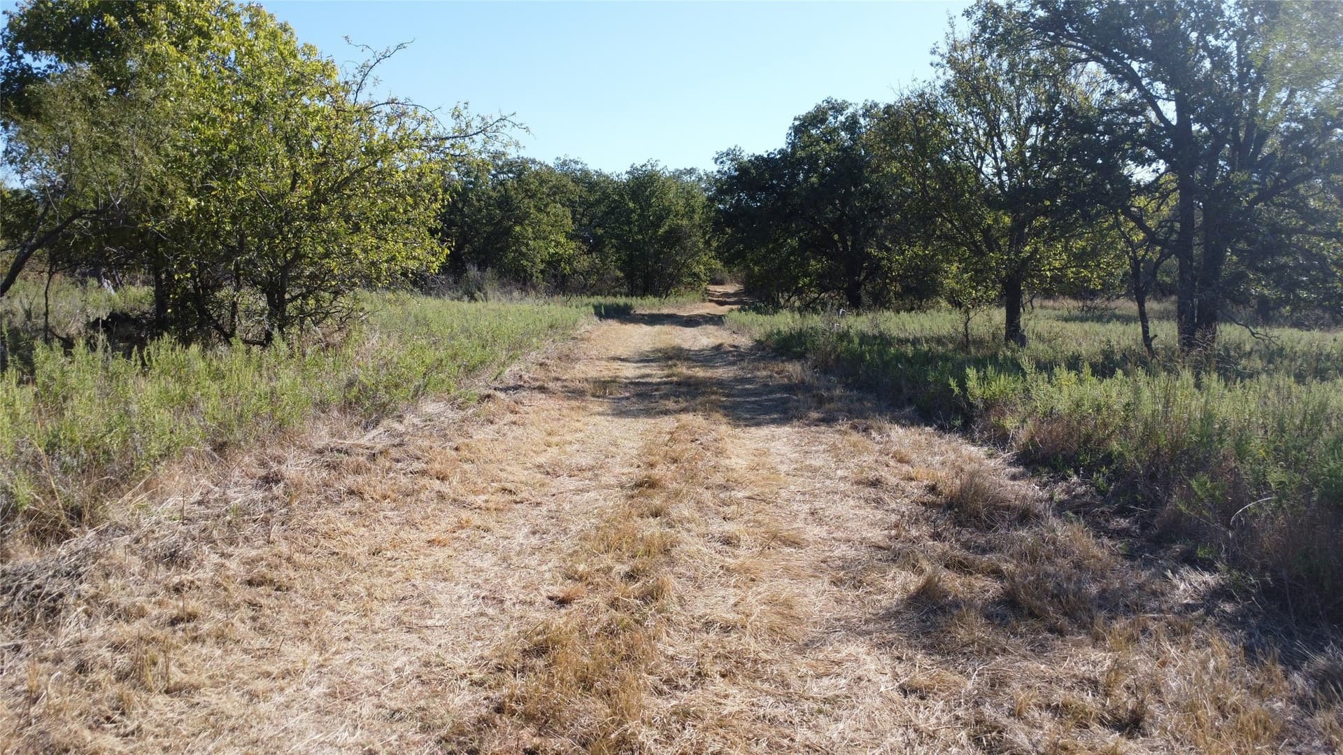 153 acres in Young County - photo 16