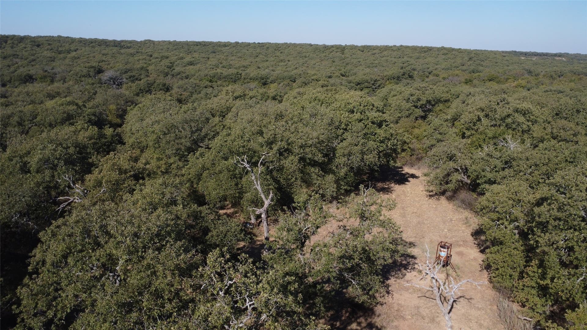 153 acres in Young County - photo 8