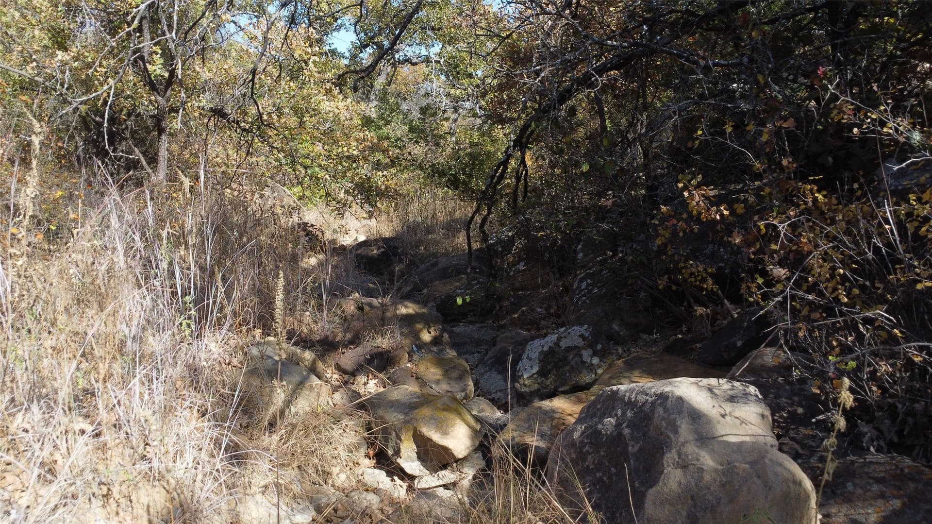 153 acres in Young County - photo 26