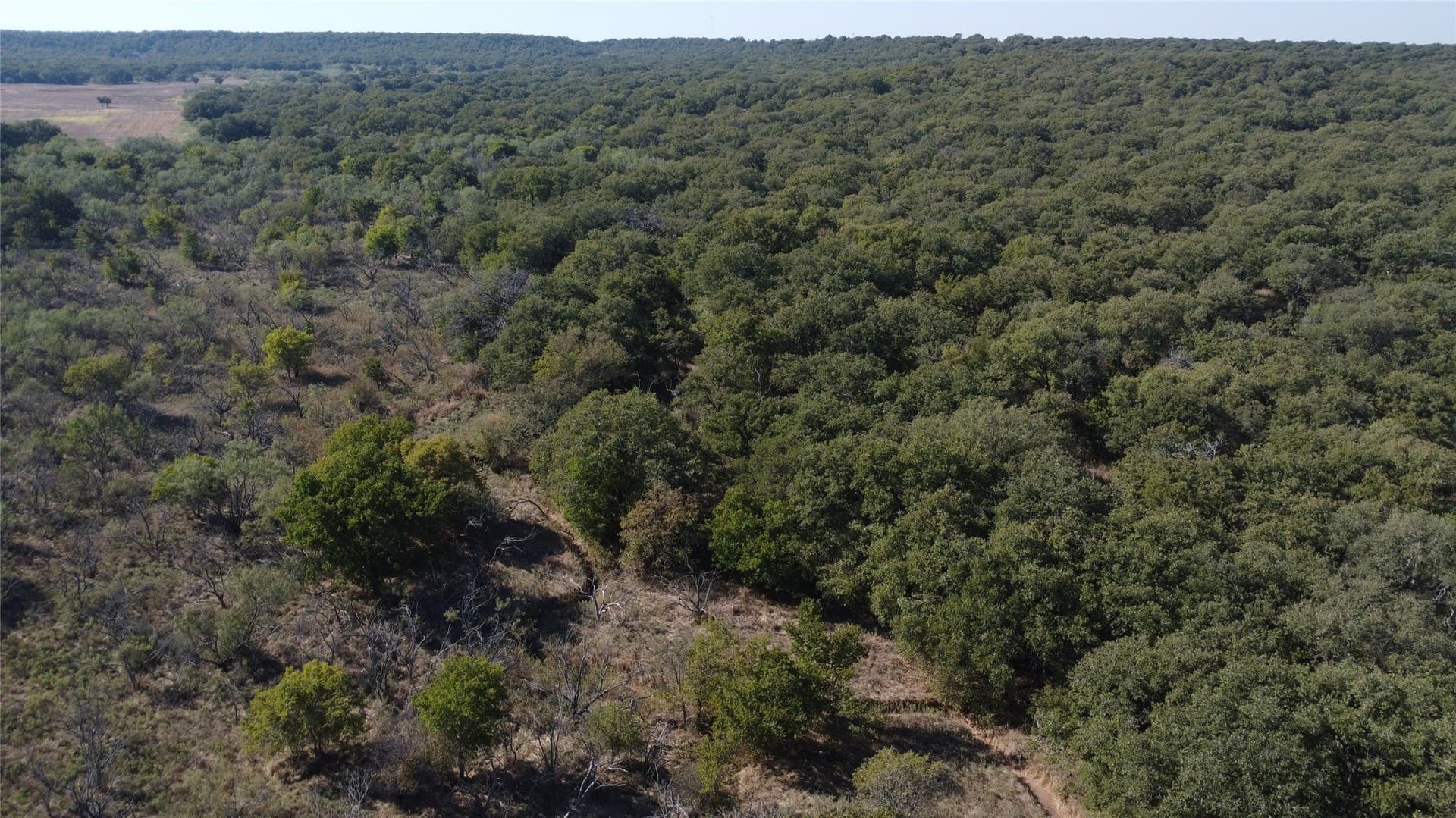 153 acres in Young County - photo 13