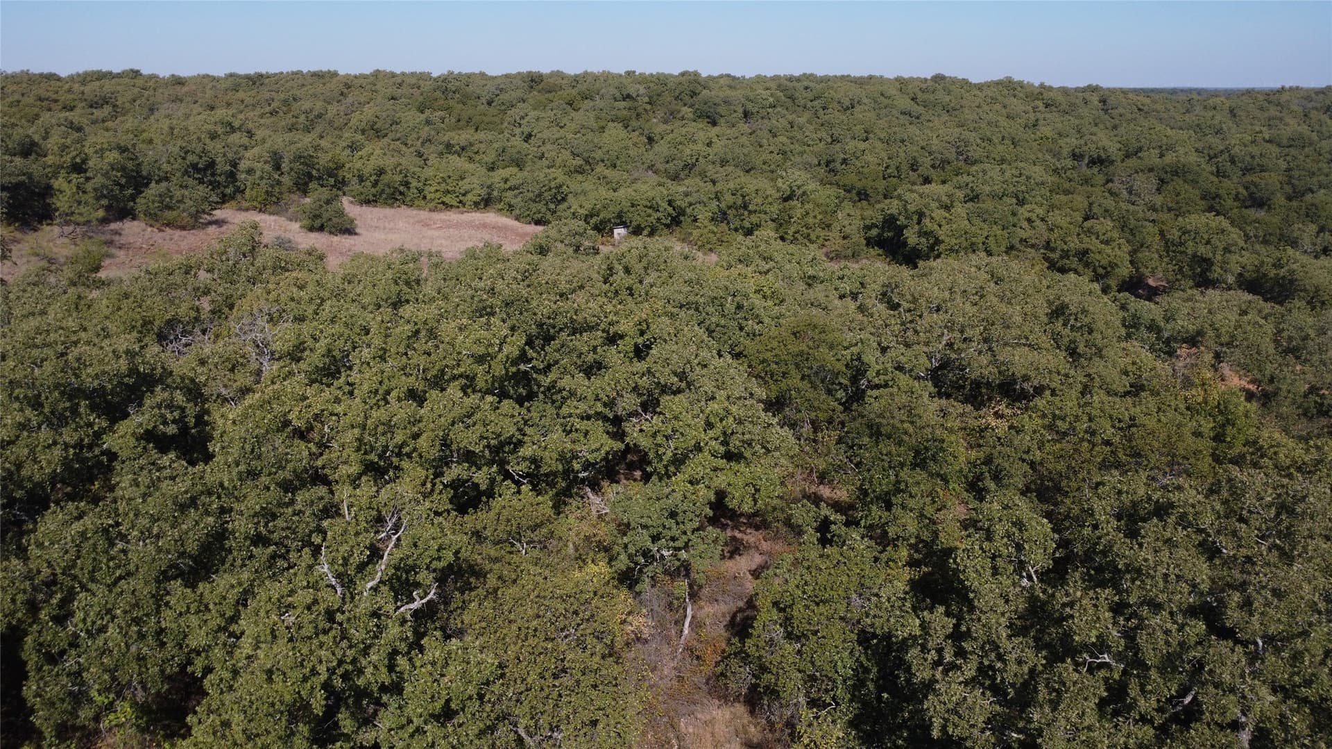 153 acres in Young County - photo 18