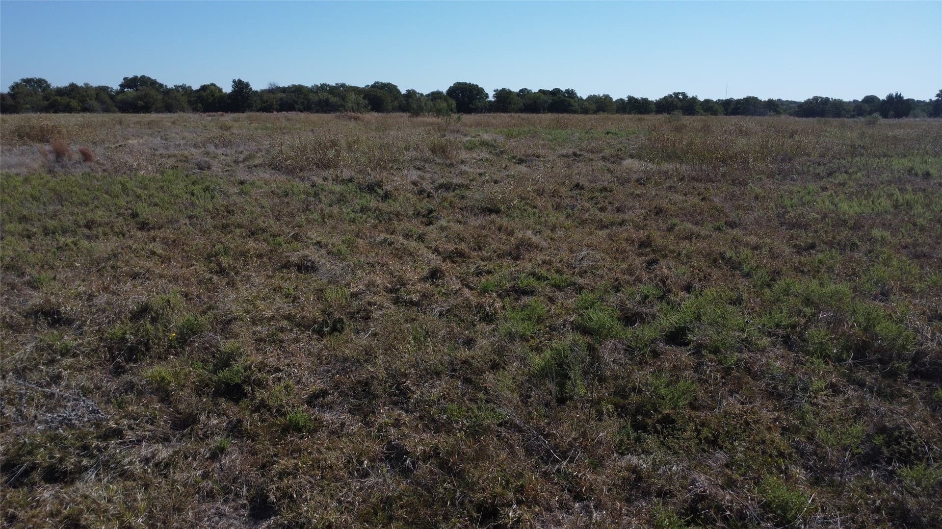 153 acres in Young County - photo 24