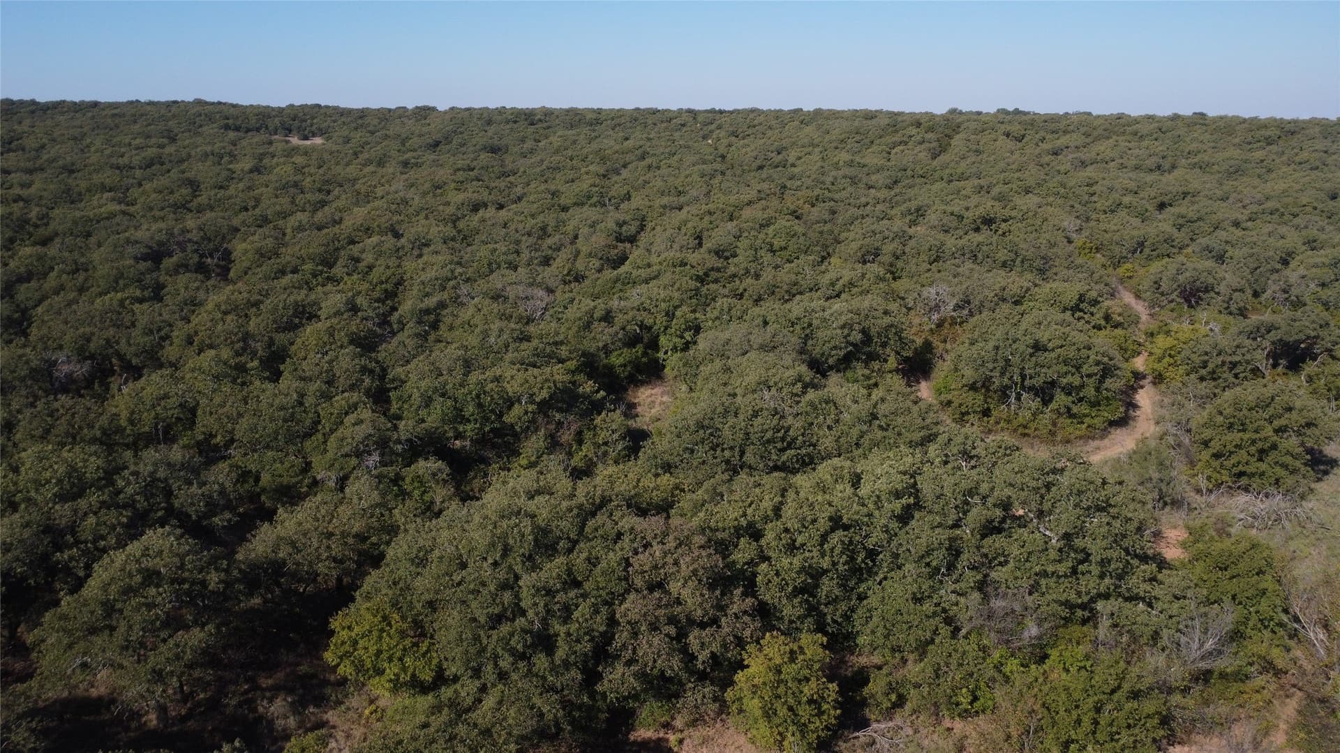 153 acres in Young County - photo 6