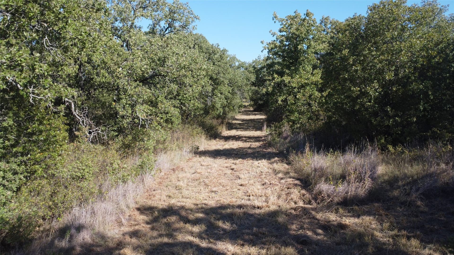 153 acres in Young County - photo 4