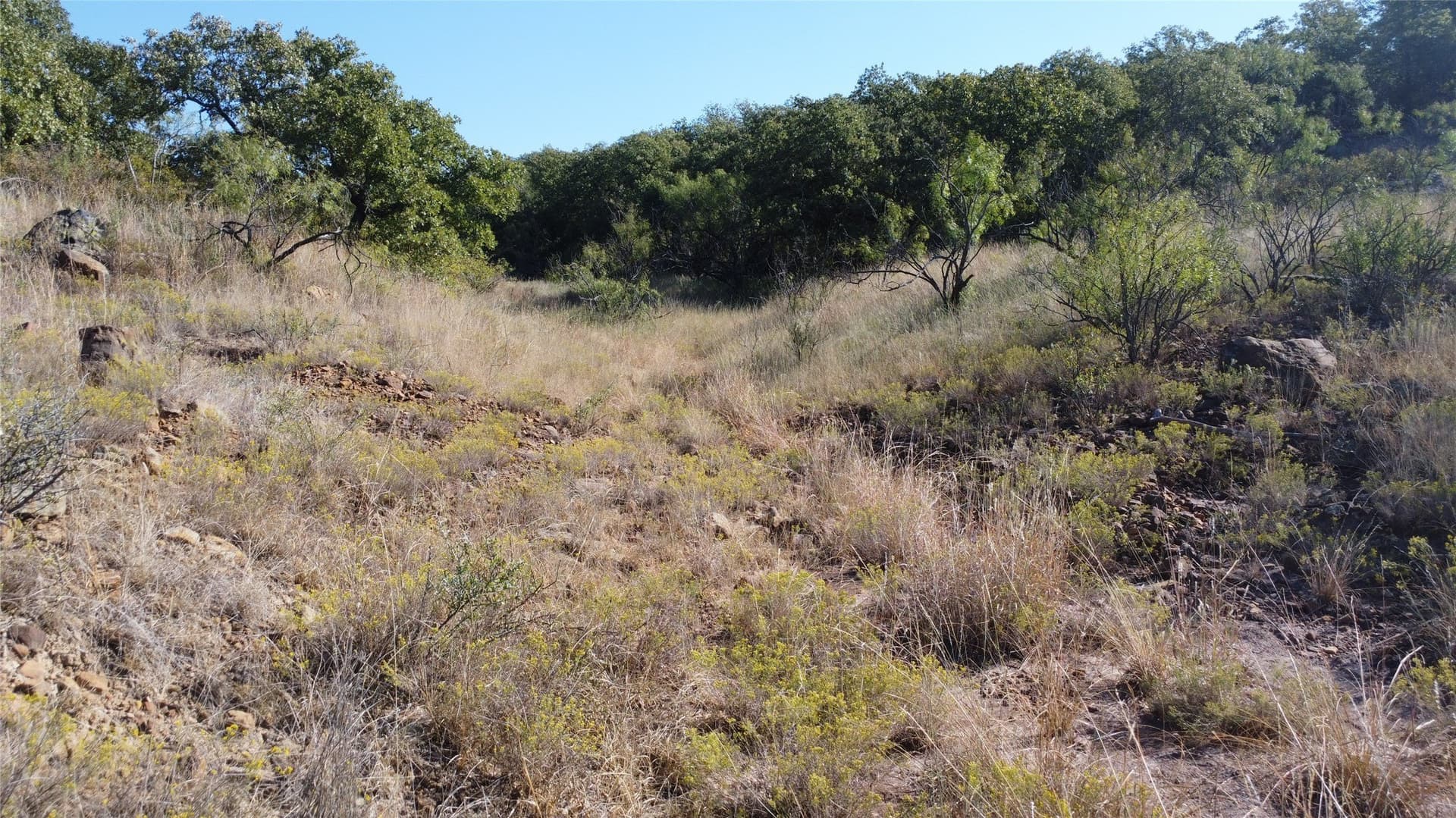 153 acres in Young County - photo 11