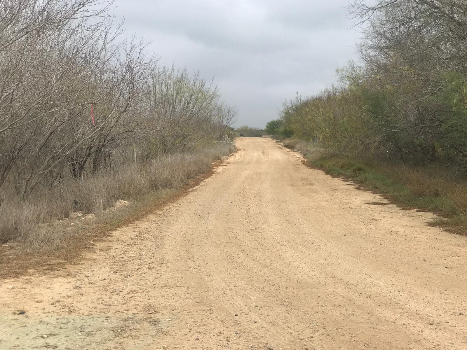 12.97 acres in LA SALLE County gallery image 3