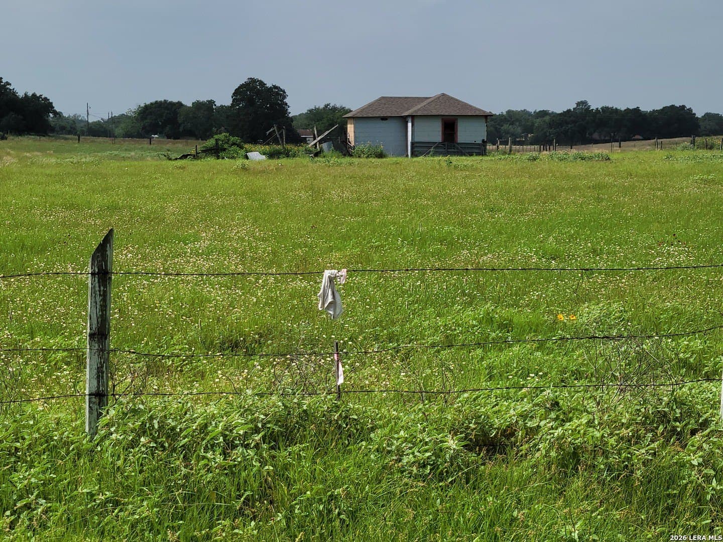 1 acres in Wilson County gallery image 4