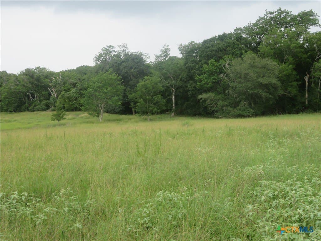 61.16 acres in Lavaca County gallery image 4