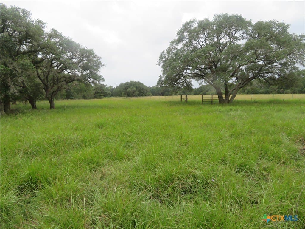 61.16 acres in Lavaca County gallery image 2