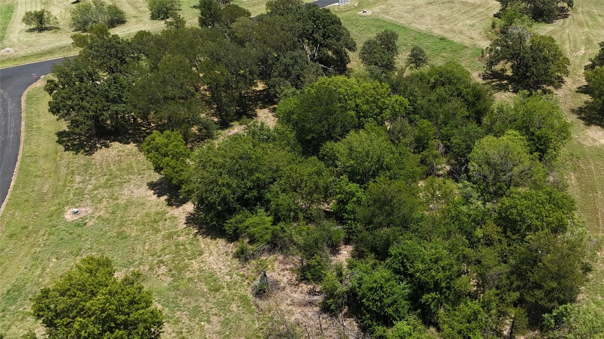 1.01 acres in Navarro County gallery image 4
