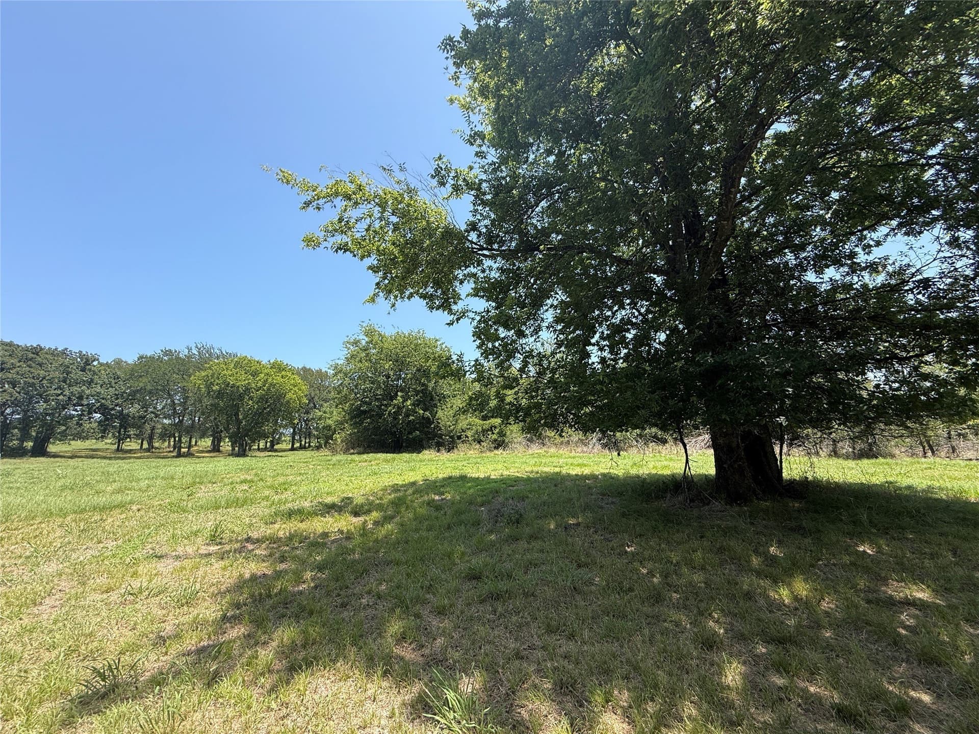 1.01 acres in Navarro County - photo 10