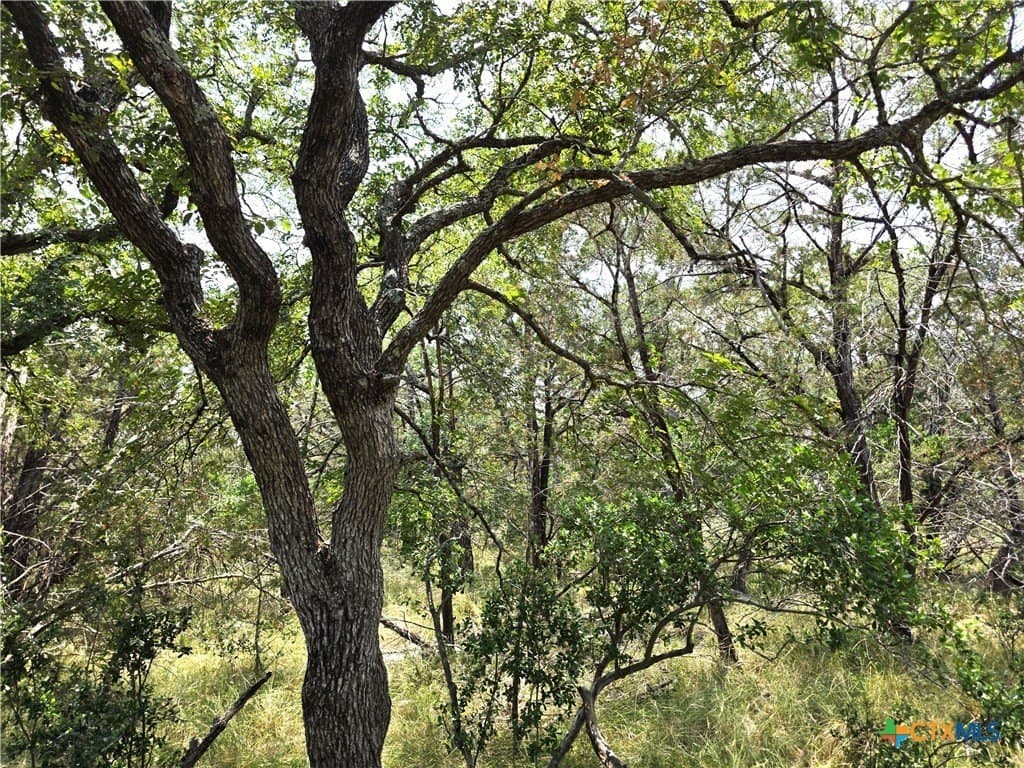 20.11 acres in Hays County - photo 12