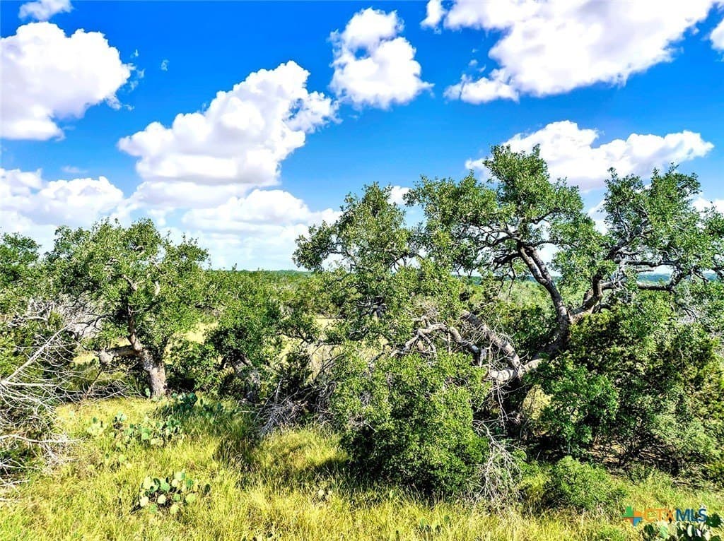 20.11 acres in Hays County - photo 13
